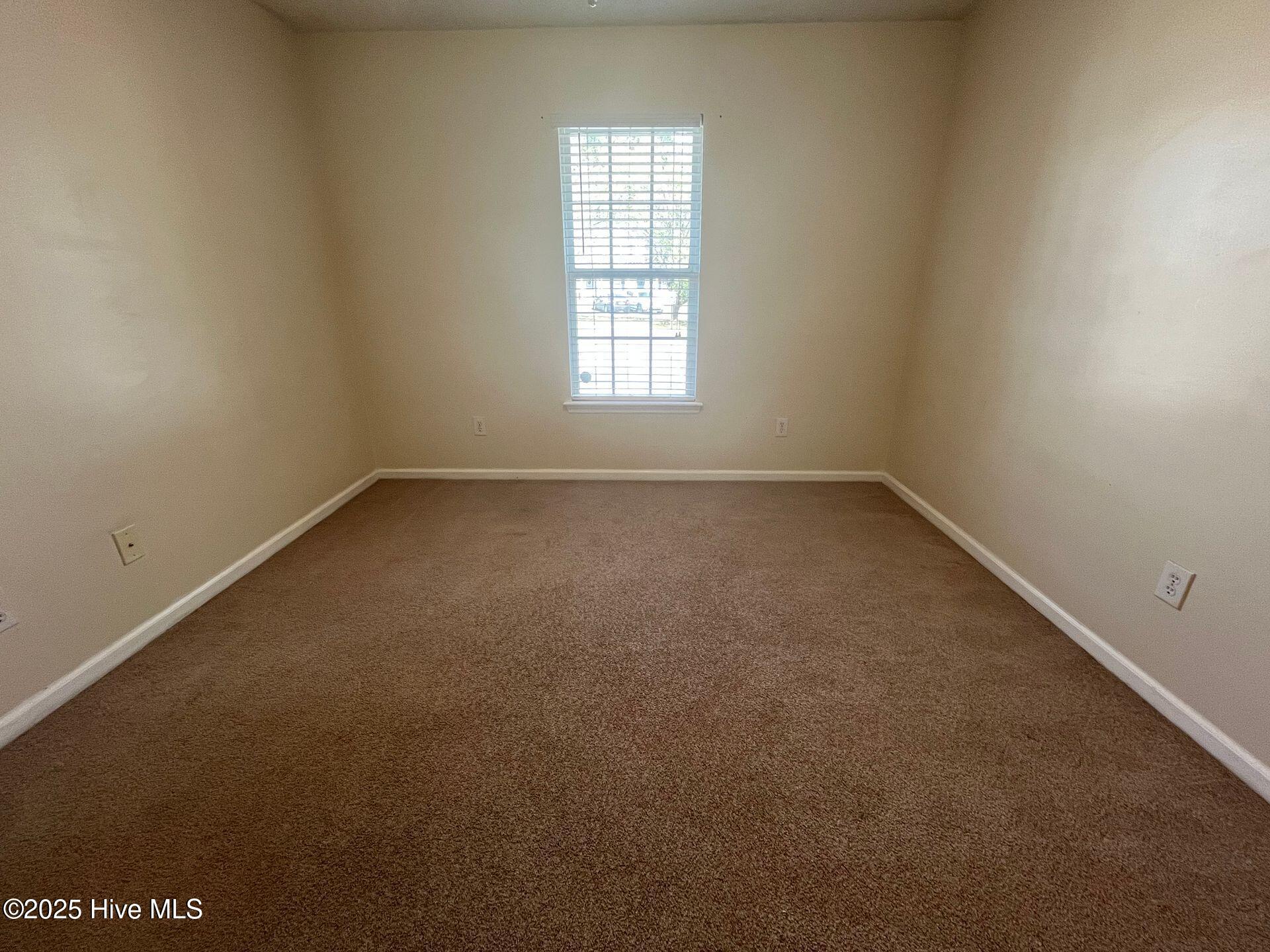 100569102 | Photo 24