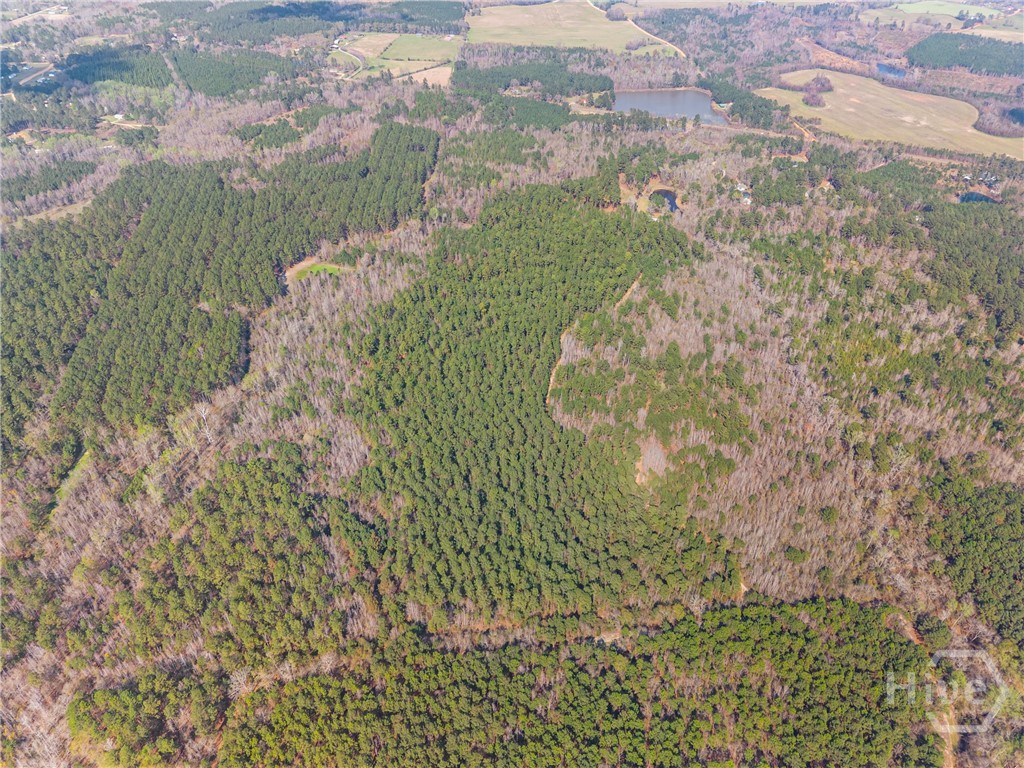 3127 Buttermilk, Sylvania, GA, 30467