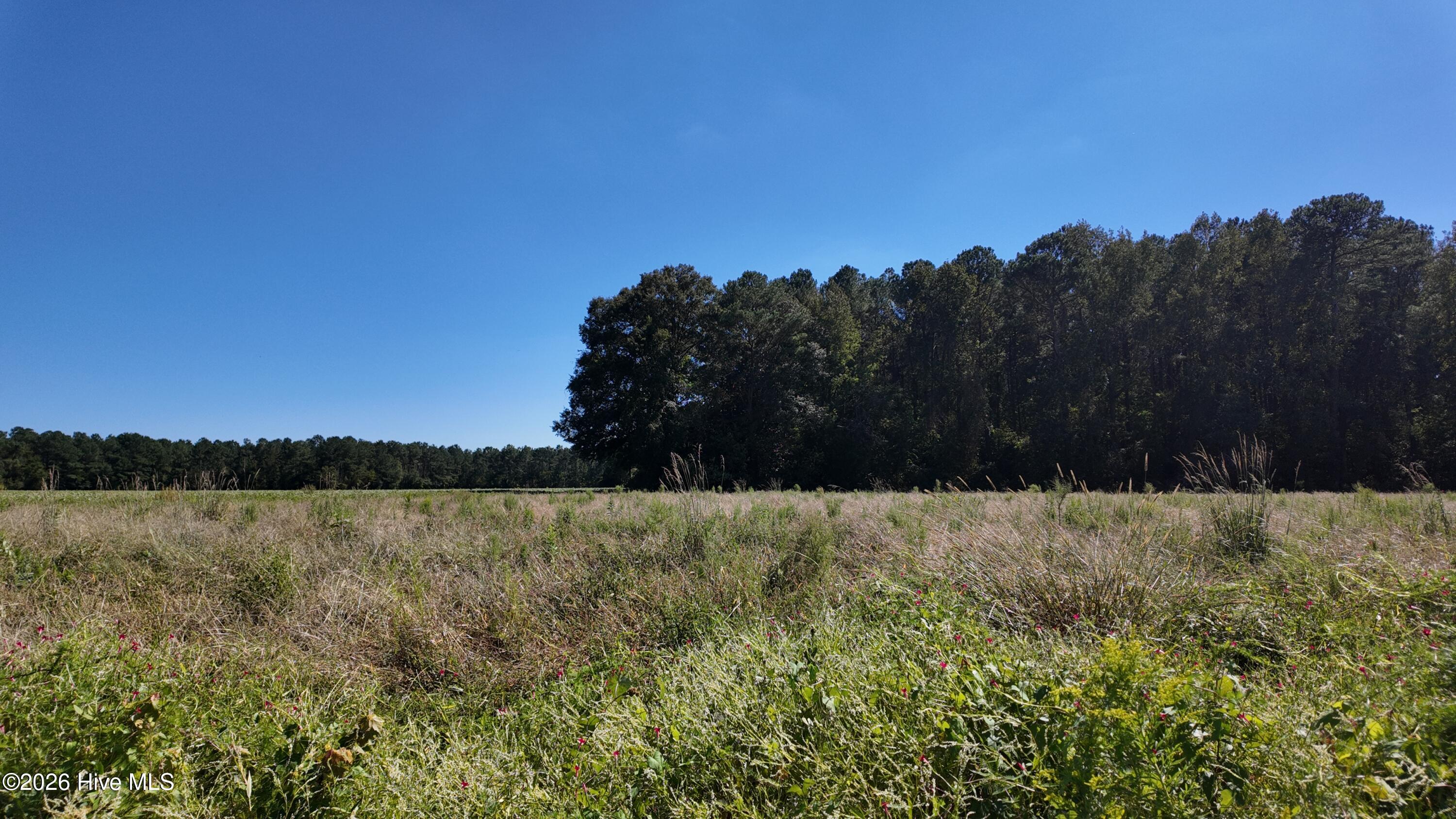 Photo 1 of Land for sale at 2 Rivenbark Rd, Wallace, NC 28466 | MLS# 100608310 | Listing updated on 2026-10-05