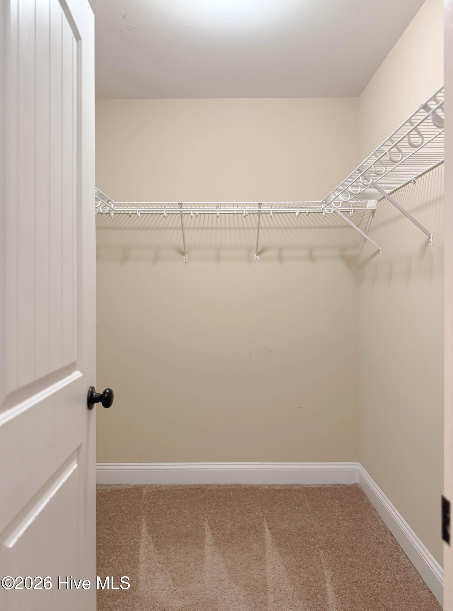 100564868 | Photo 49