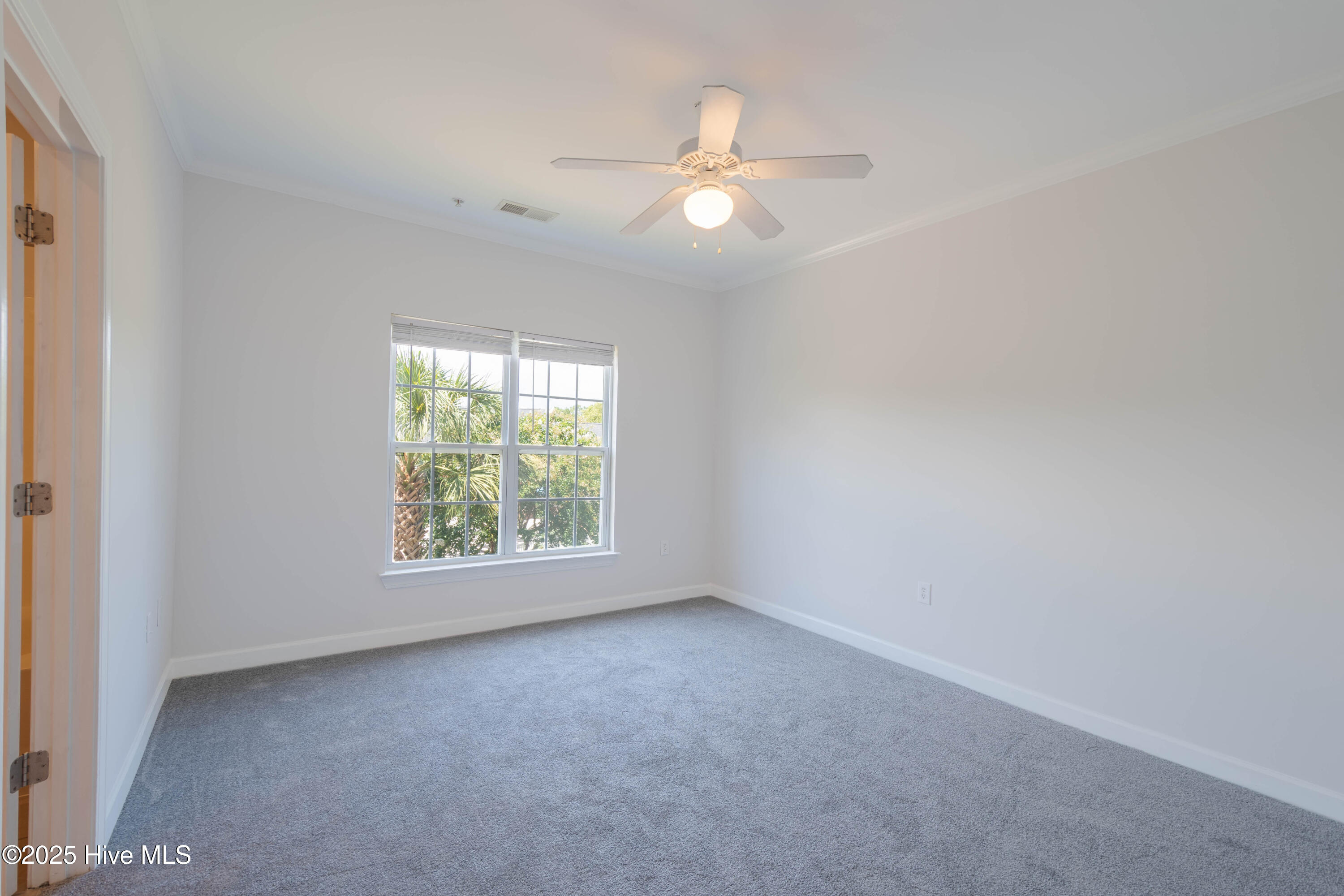 100515883 | Photo 24