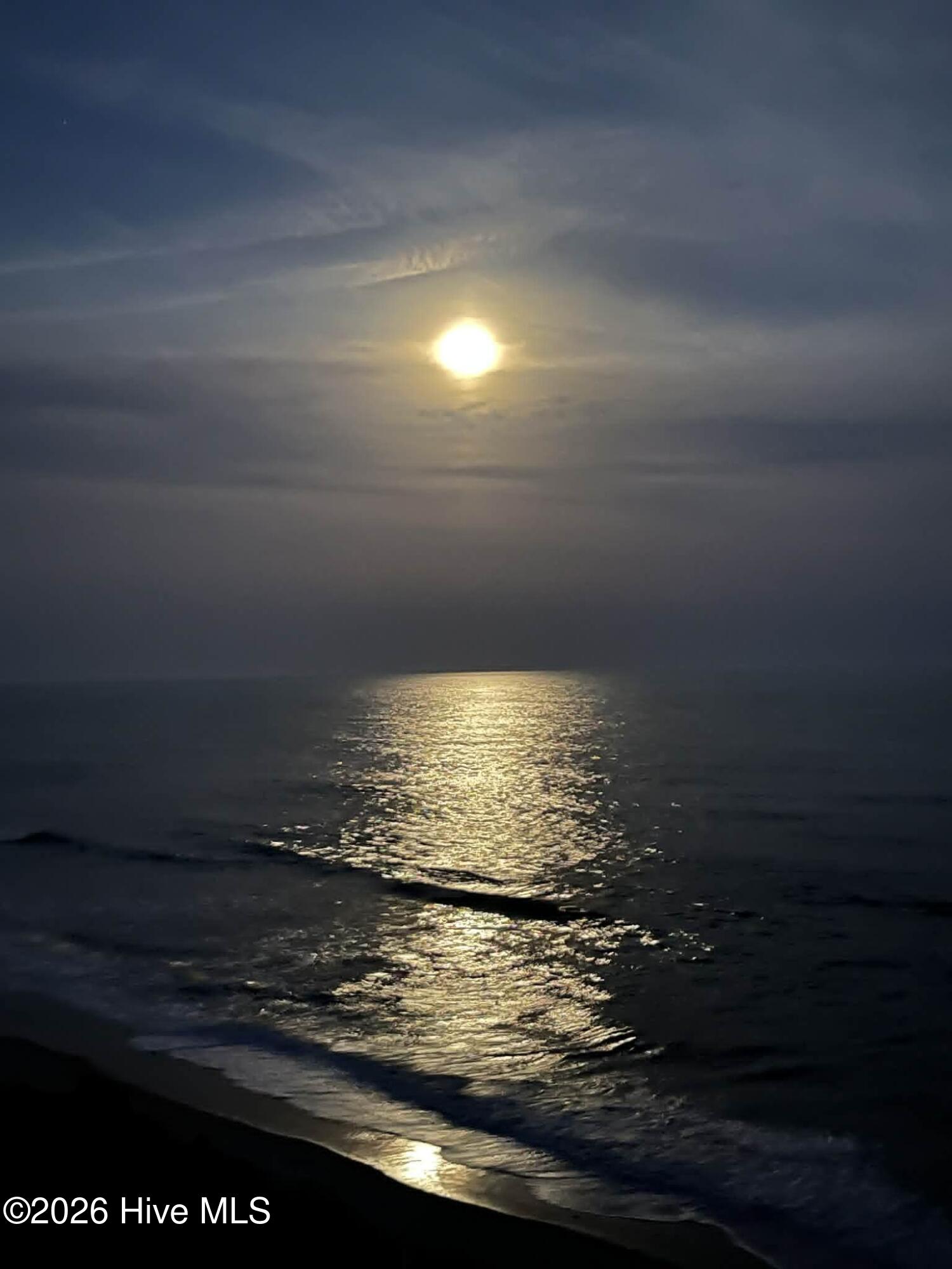 100563285 | Photo 71