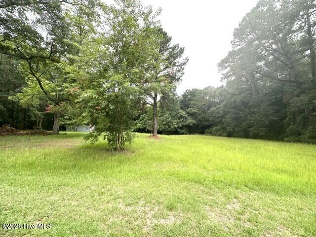 Exterior photo of 312 S Carlton Street, Magnolia, NC 28453. MLS: 100591647