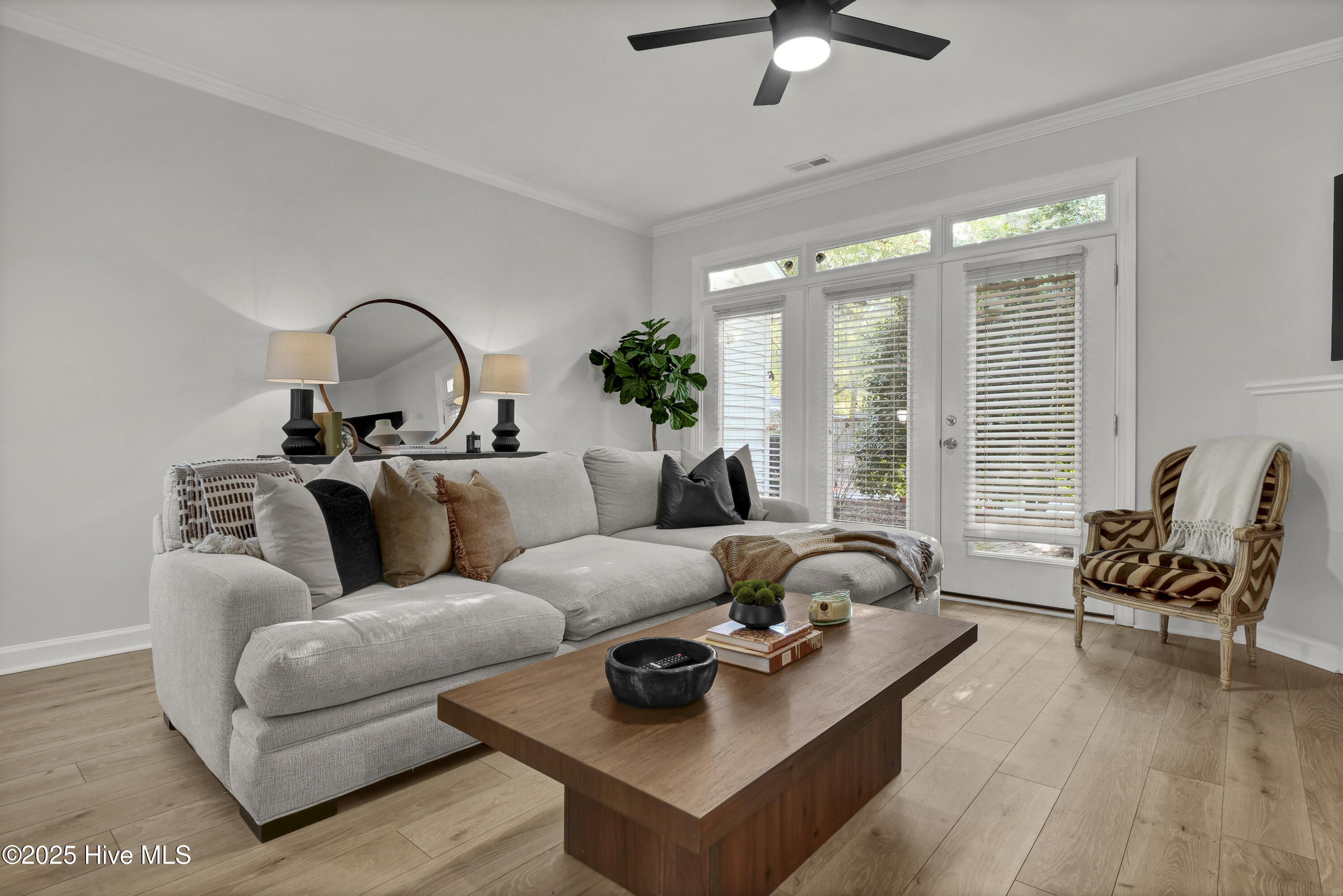 100546697 | Photo 13