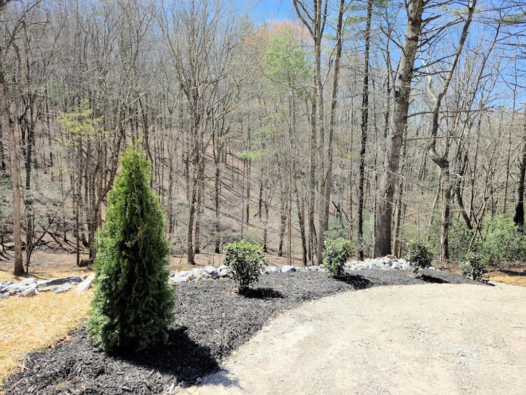 Landscaped