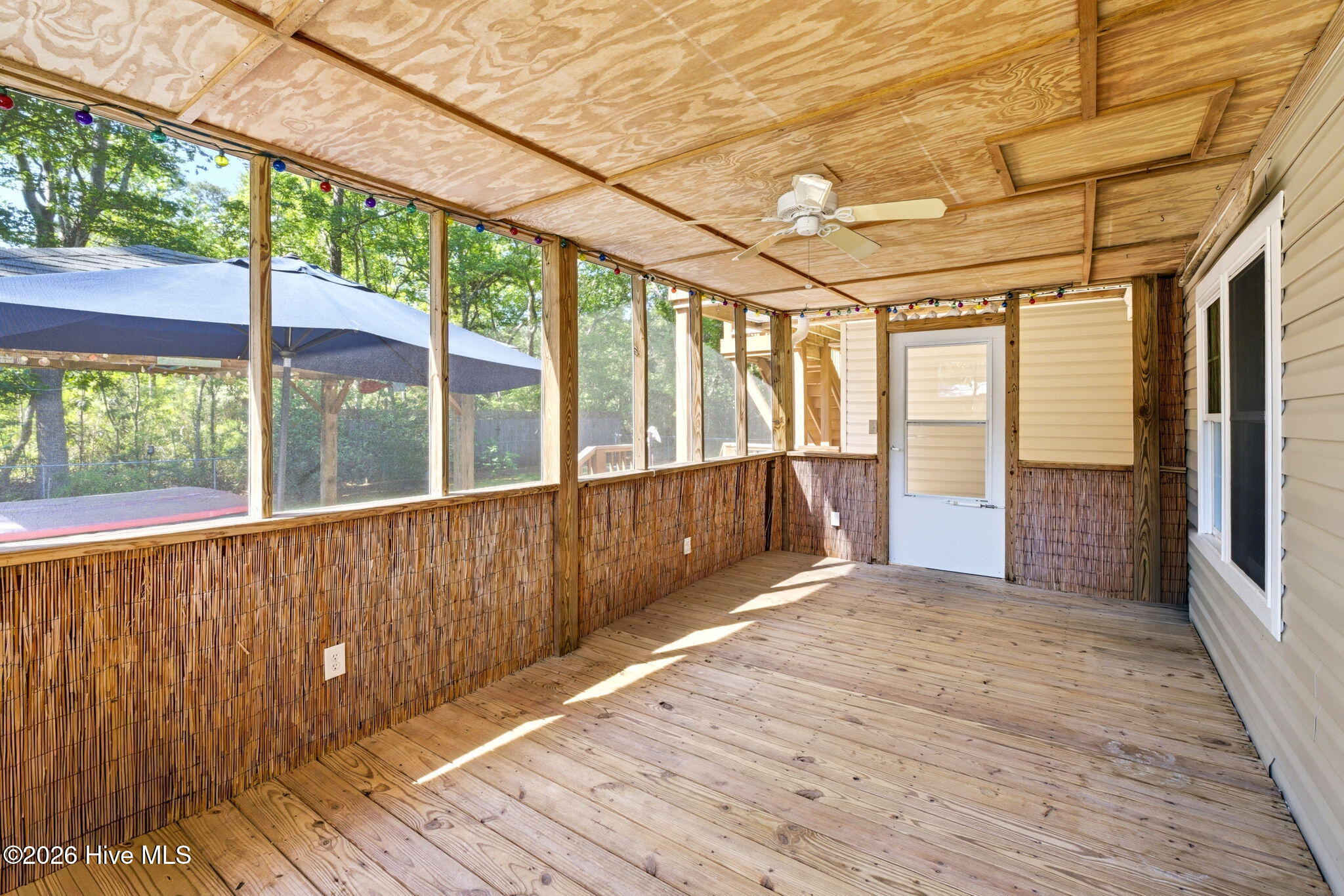 100568157 | Photo 38