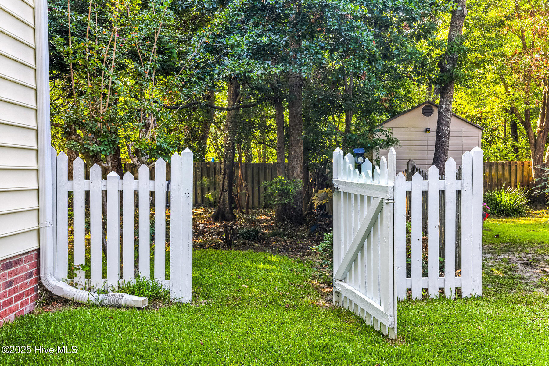 100505996 | Photo 45