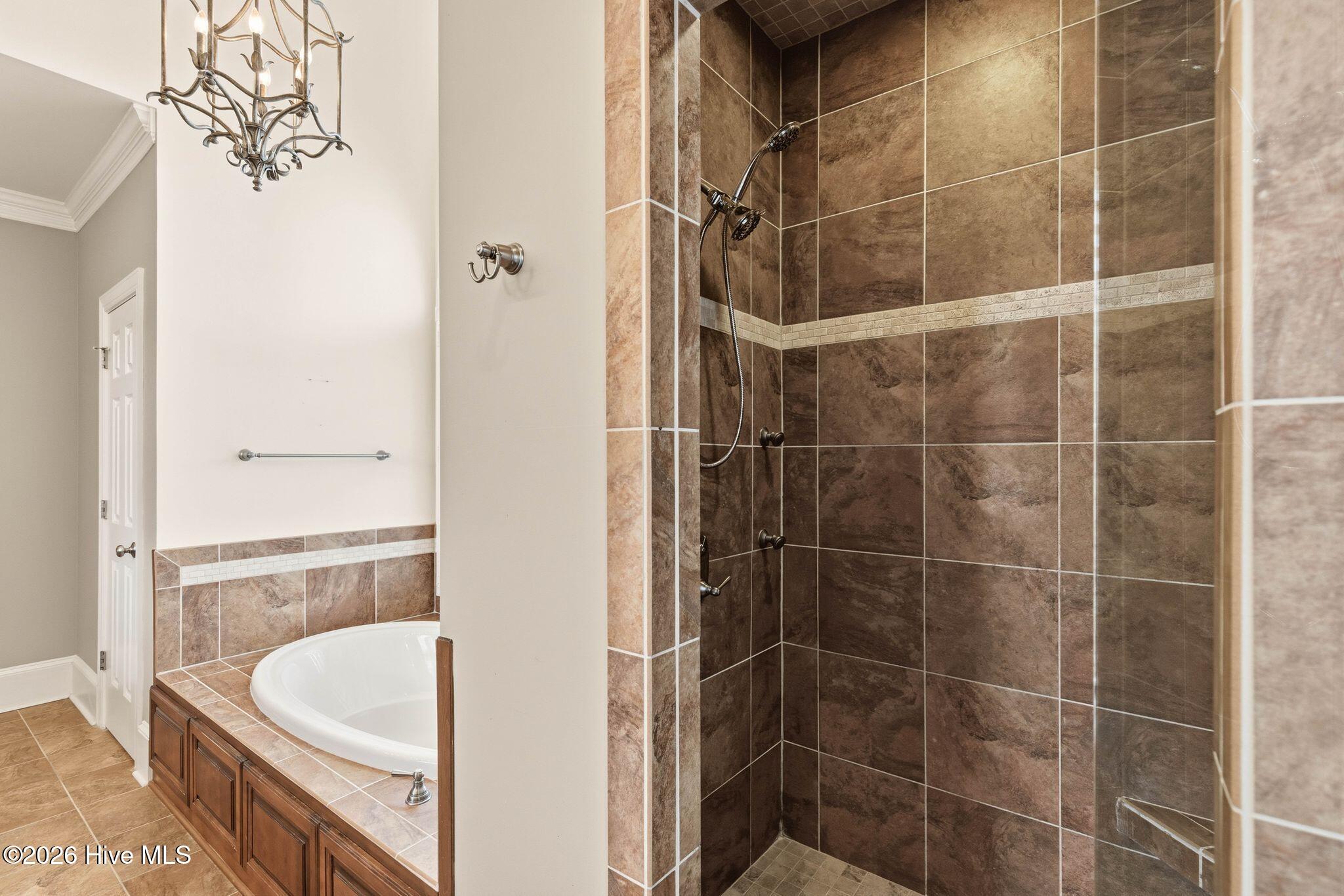 100565083 | Photo 32