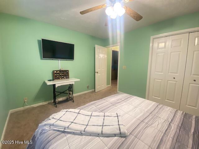 100537292 | Photo 39