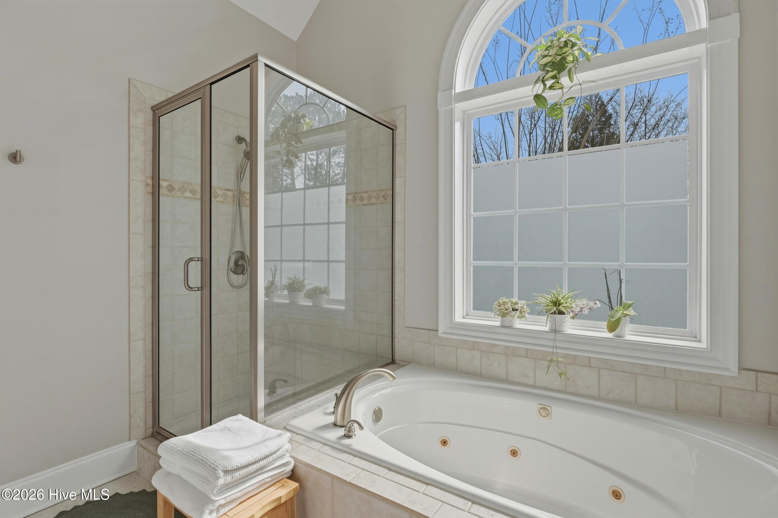 100556453 | Photo 21