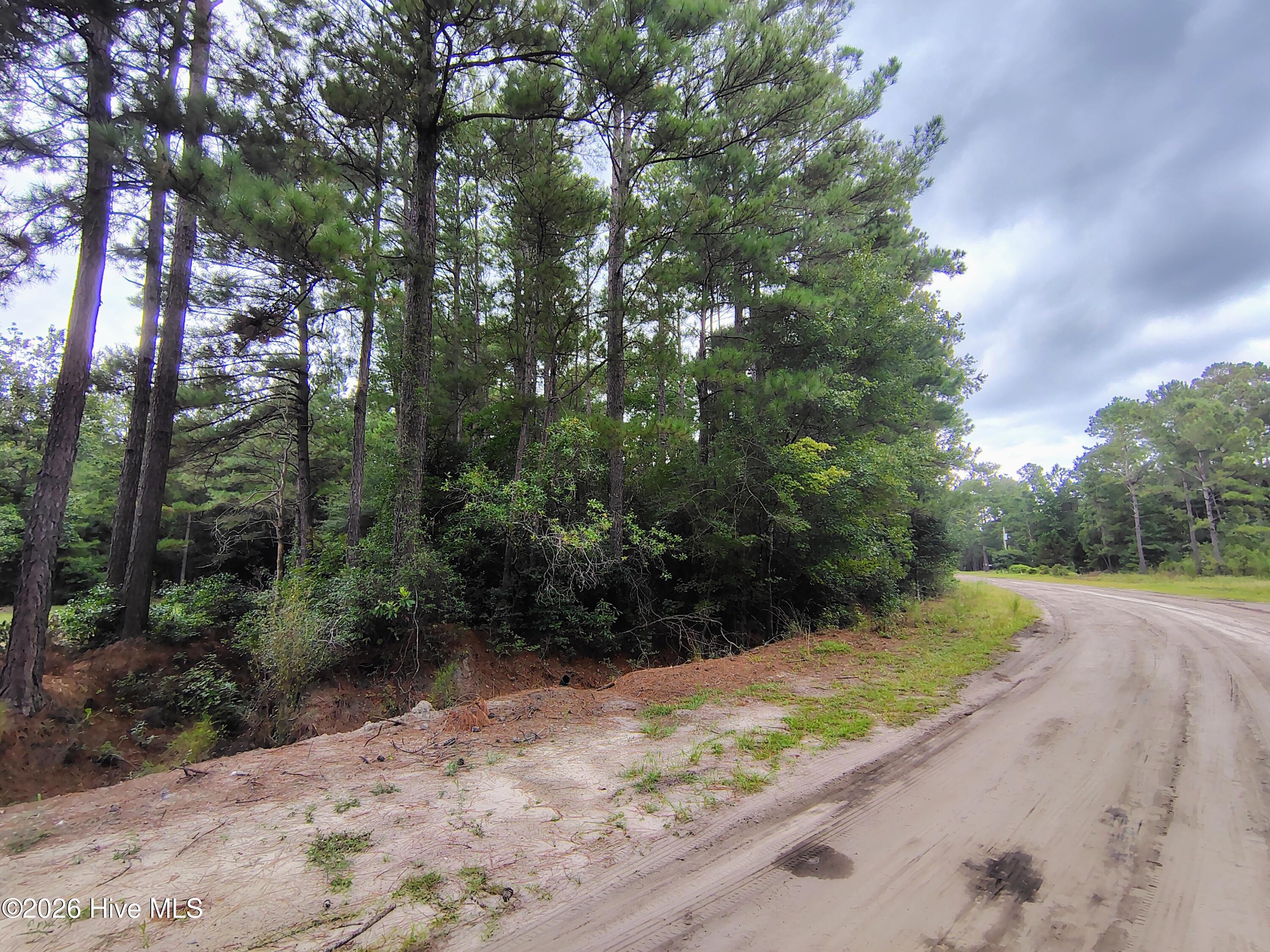 1st image of Lot 45 Near 519 Deer Ln, Tabor City, NC 28463 | MLS# 100600263