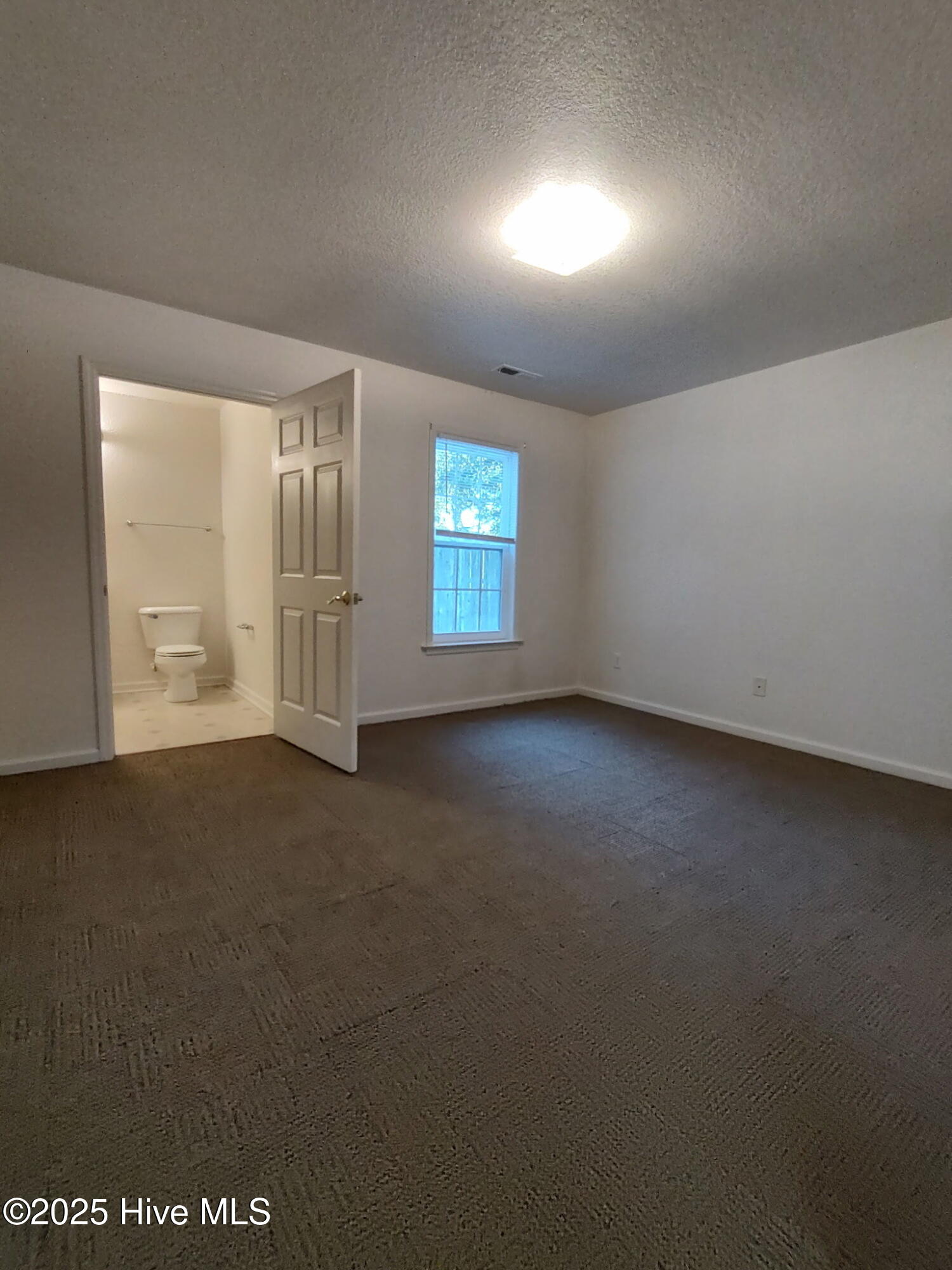 100546478 | Photo 16