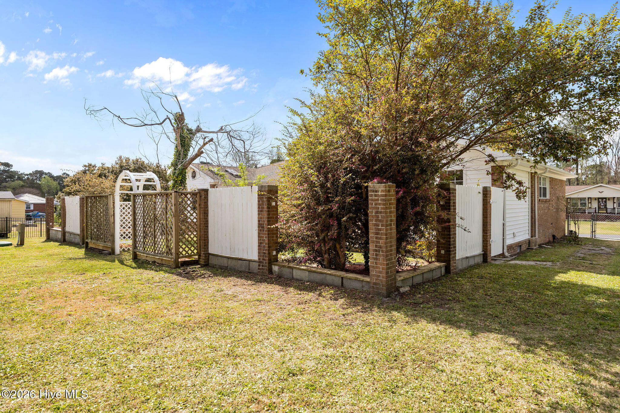 100564387 | Photo 39