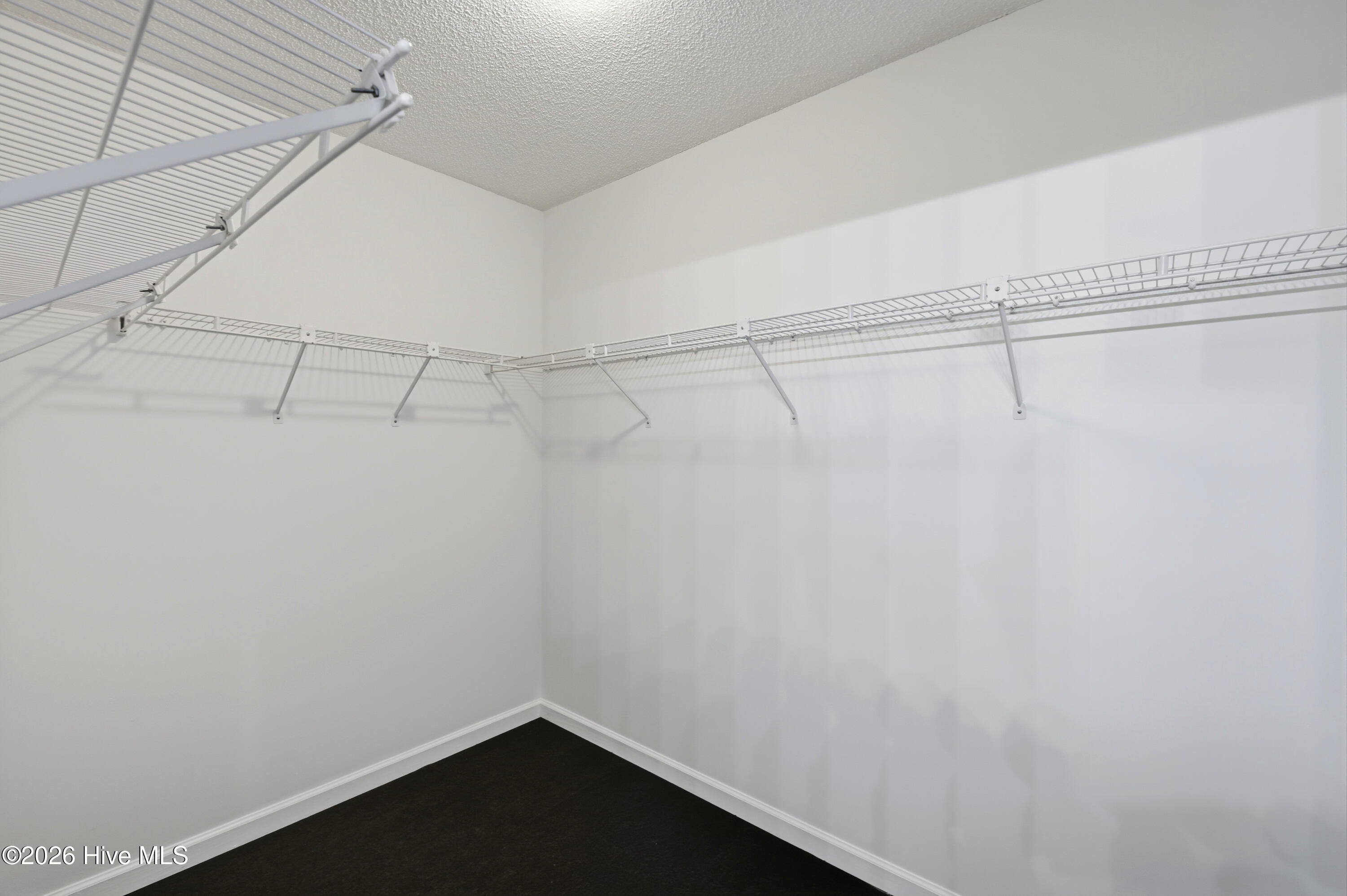 100564031 | Photo 20