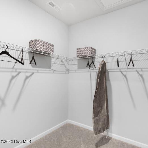 100554768 | Photo 13