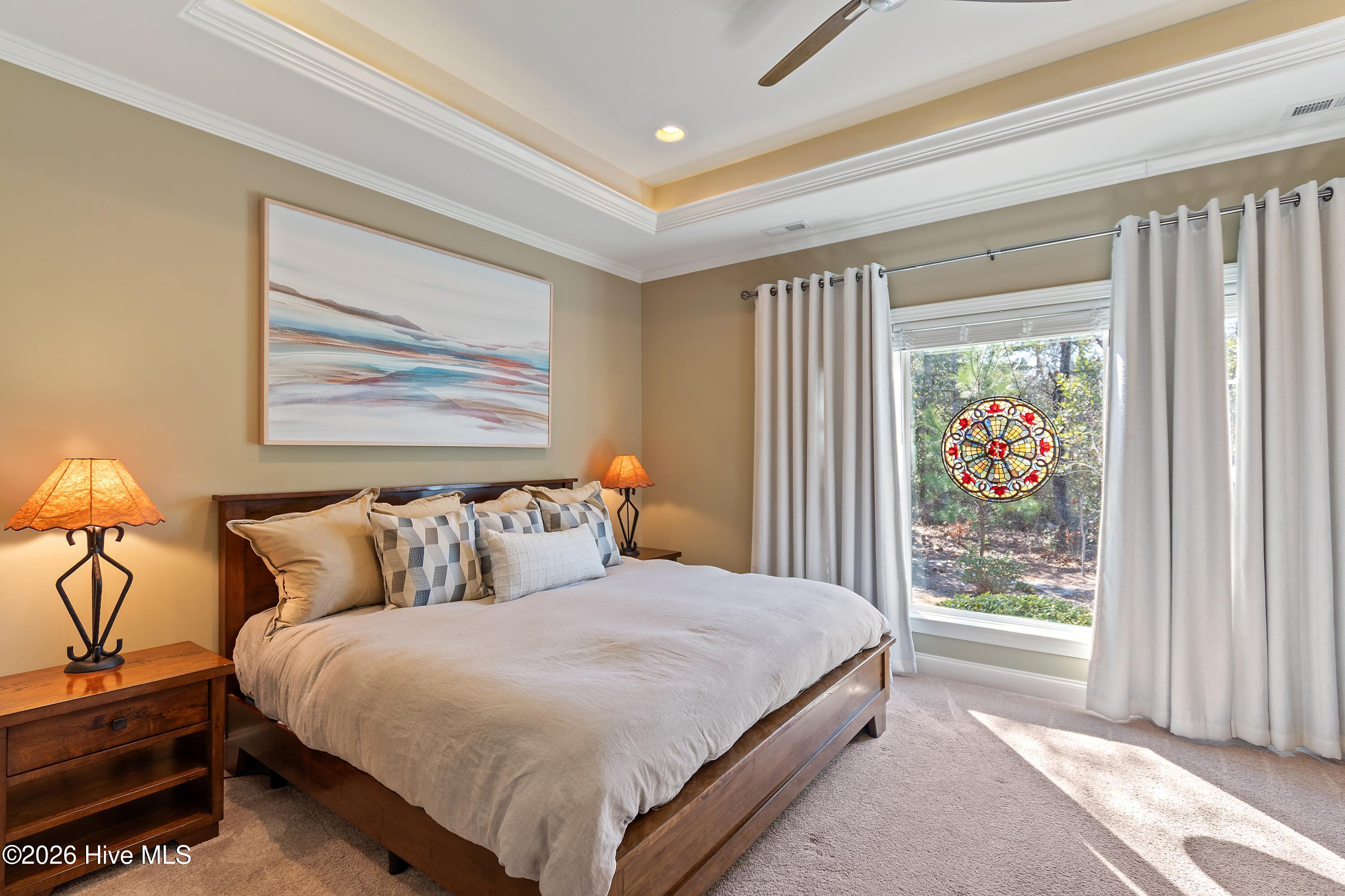 100558419 | Photo 29