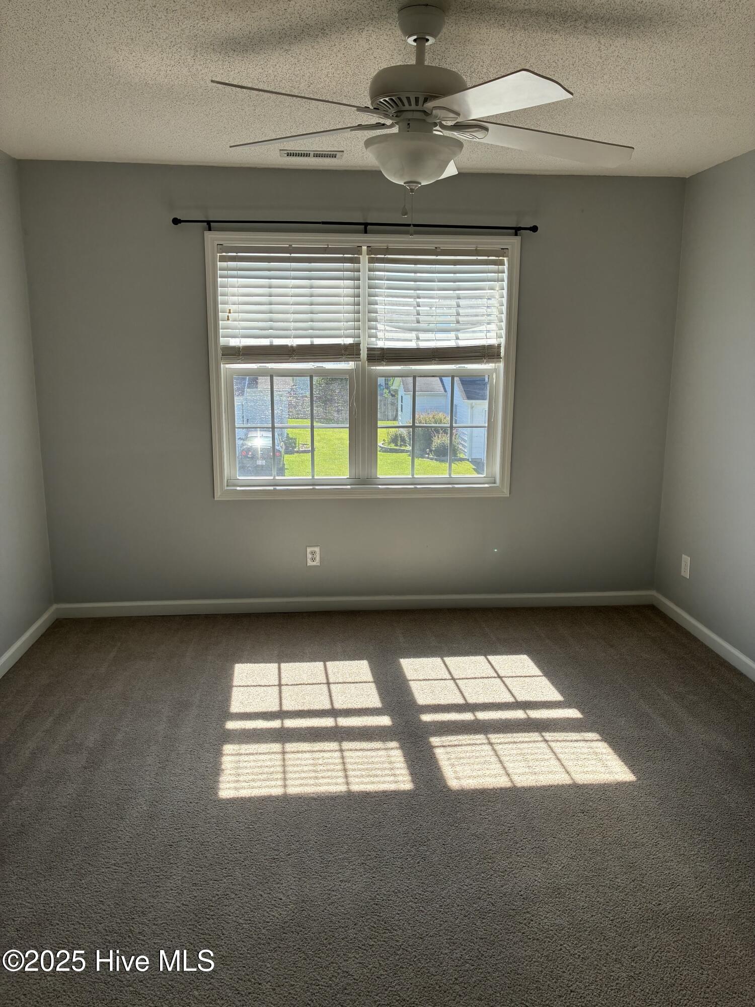 100562851 | Photo 10