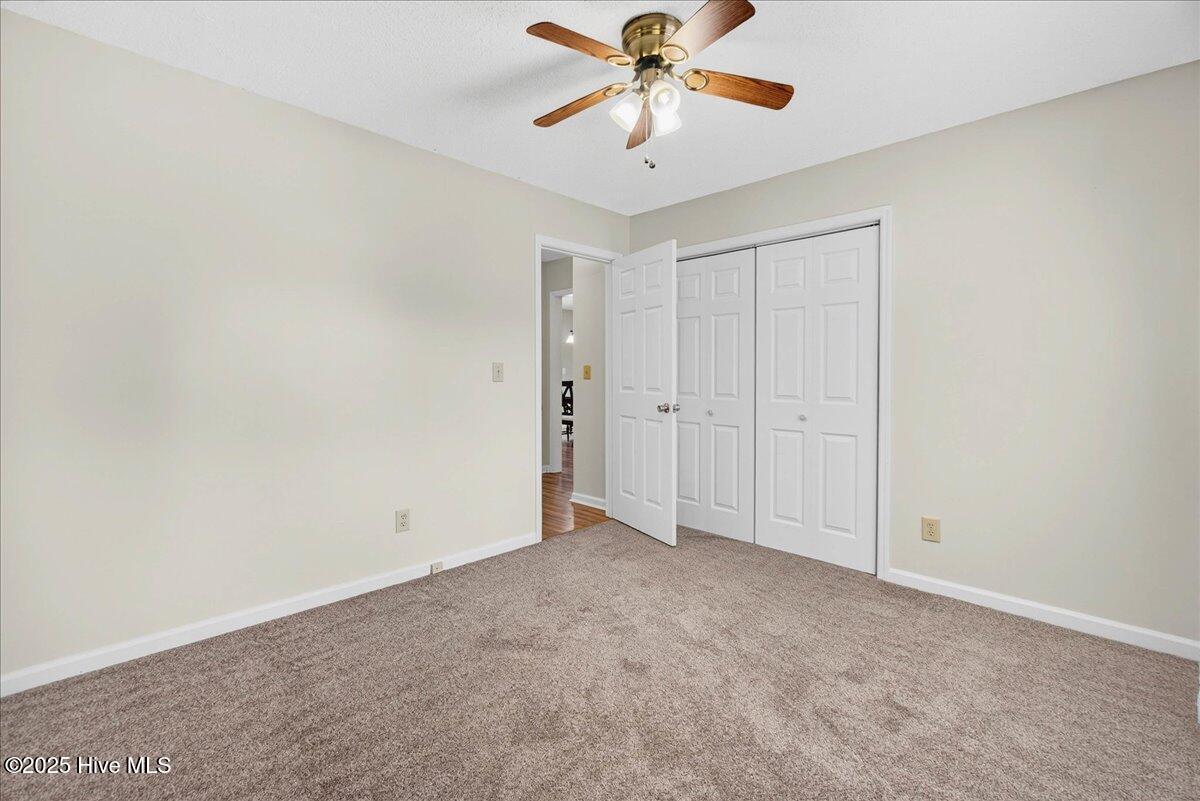 100531435 | Photo 23