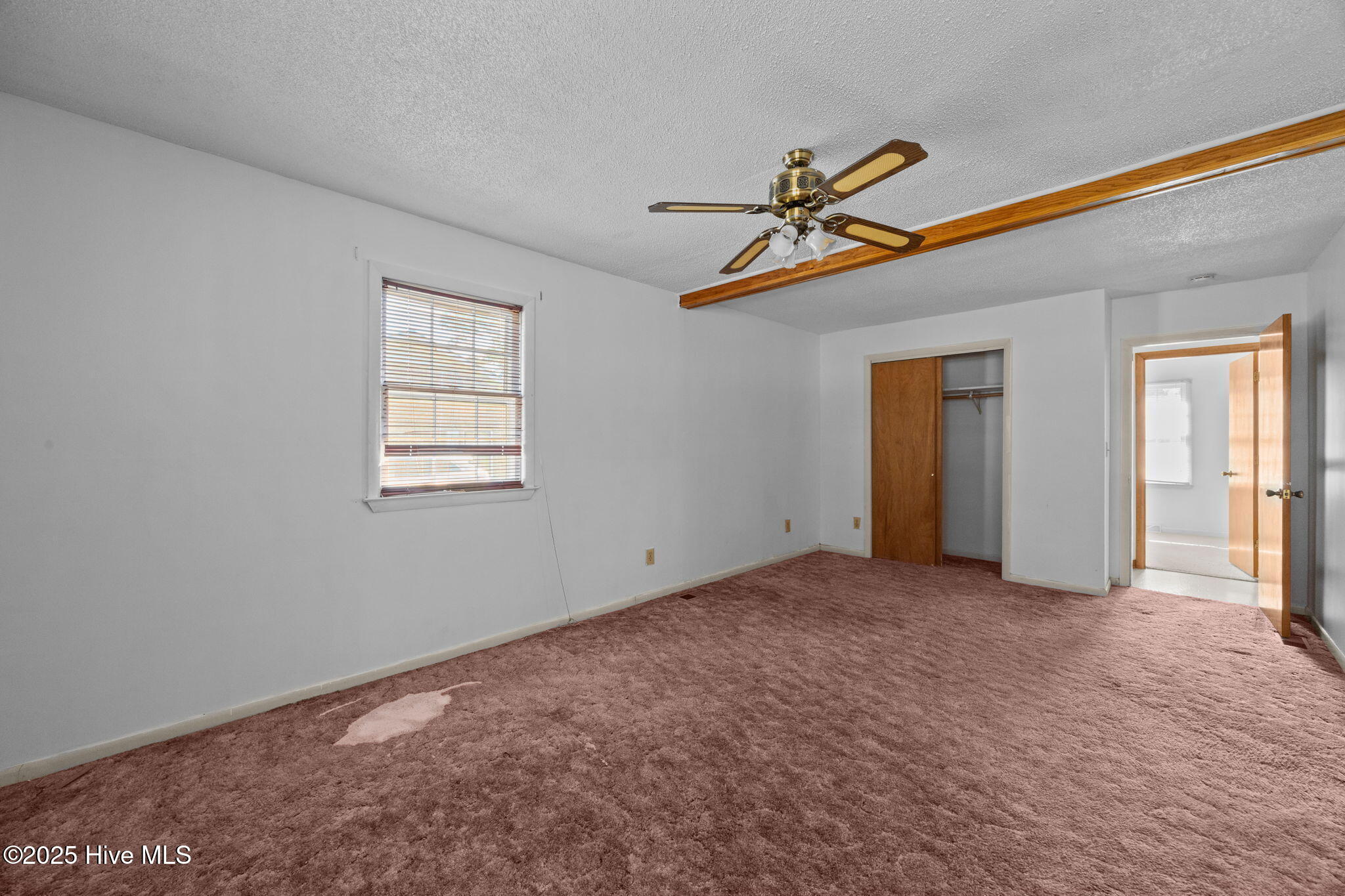 100542323 | Photo 22