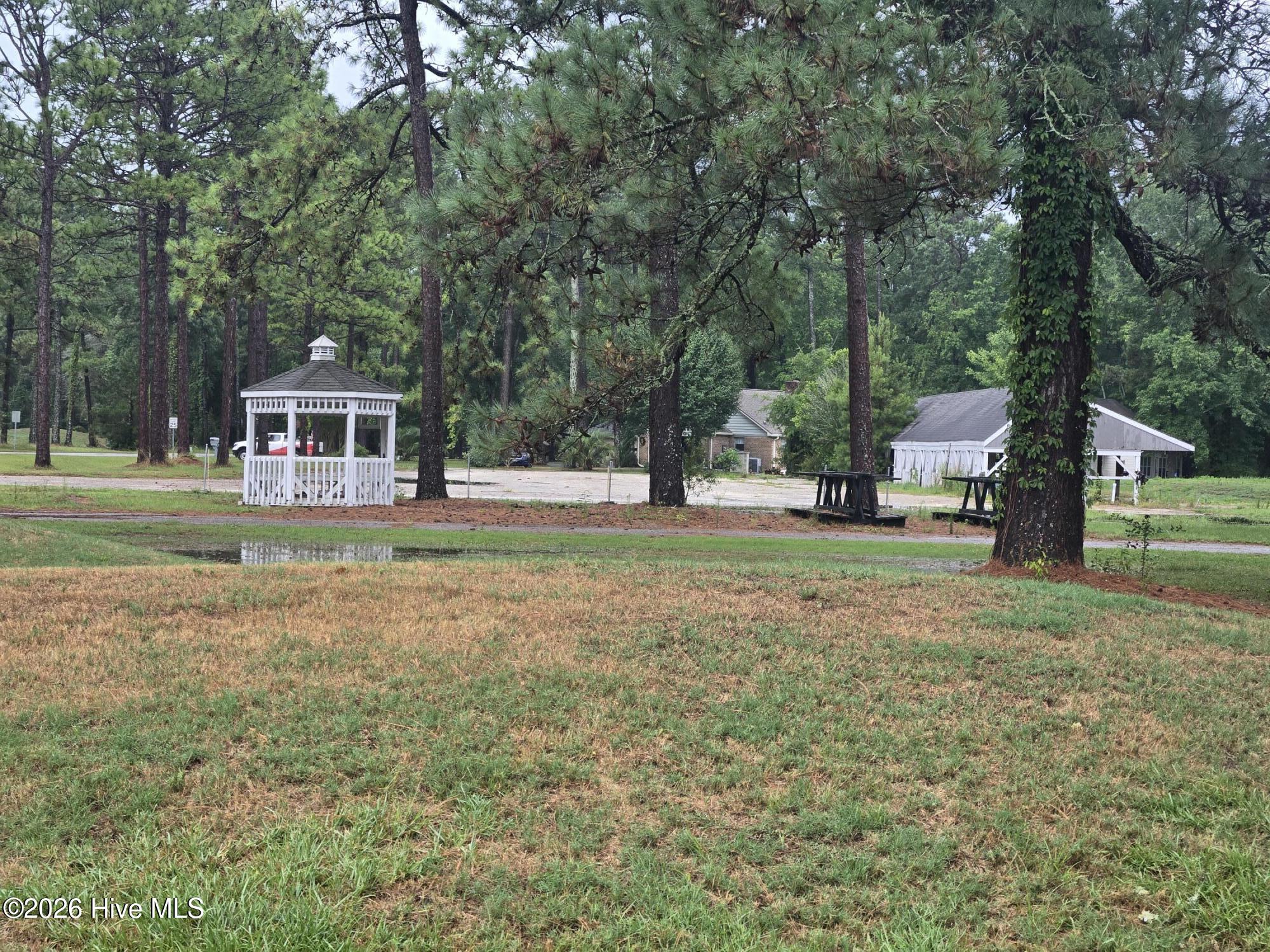 100585901 | Photo 57