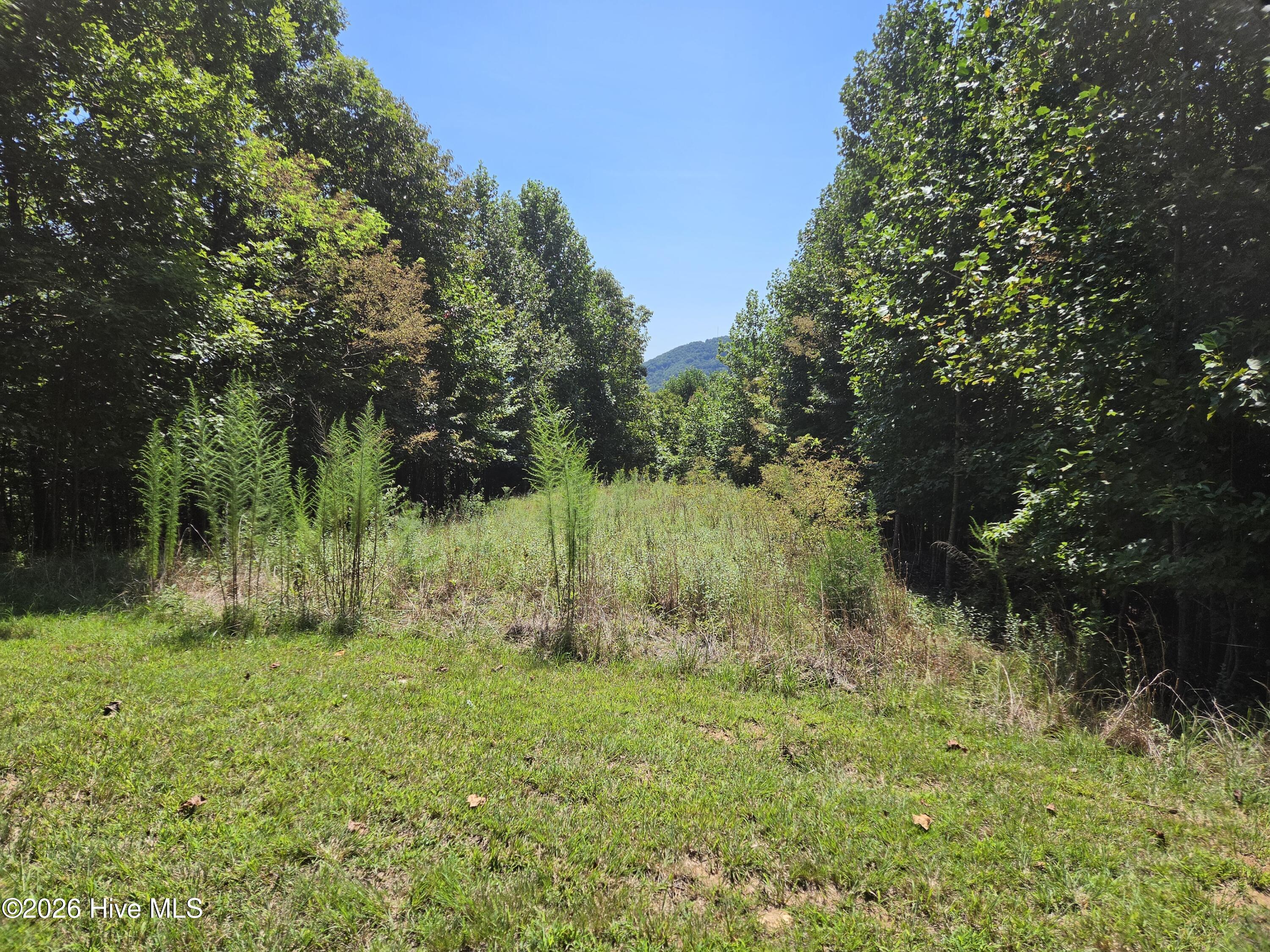 Lot 69 69 Collins Court