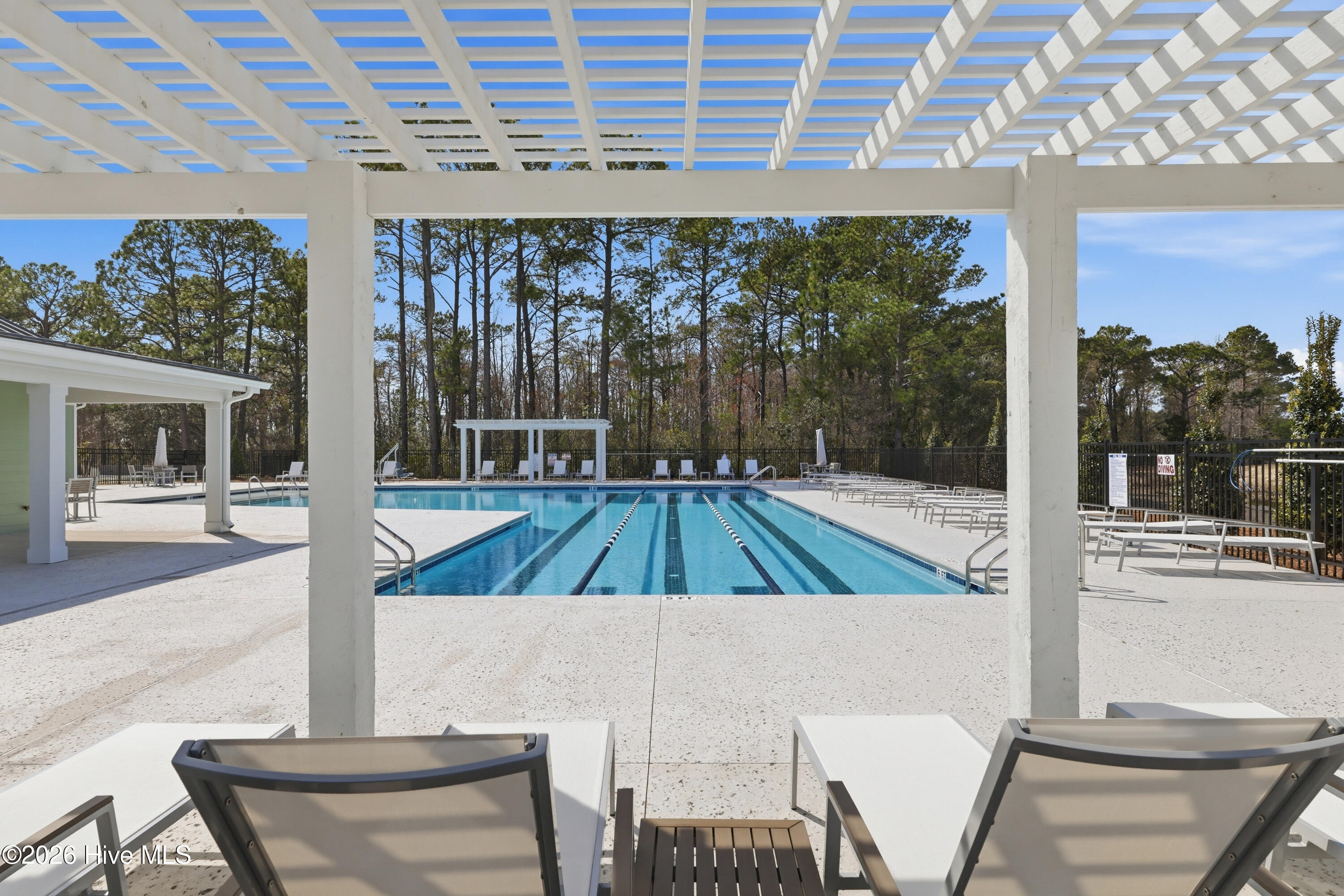 100568538 | Photo 67