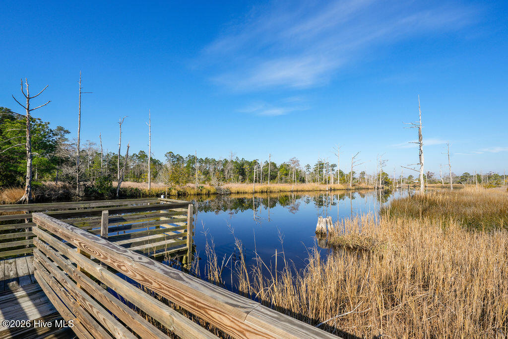 100558623 | Photo 21