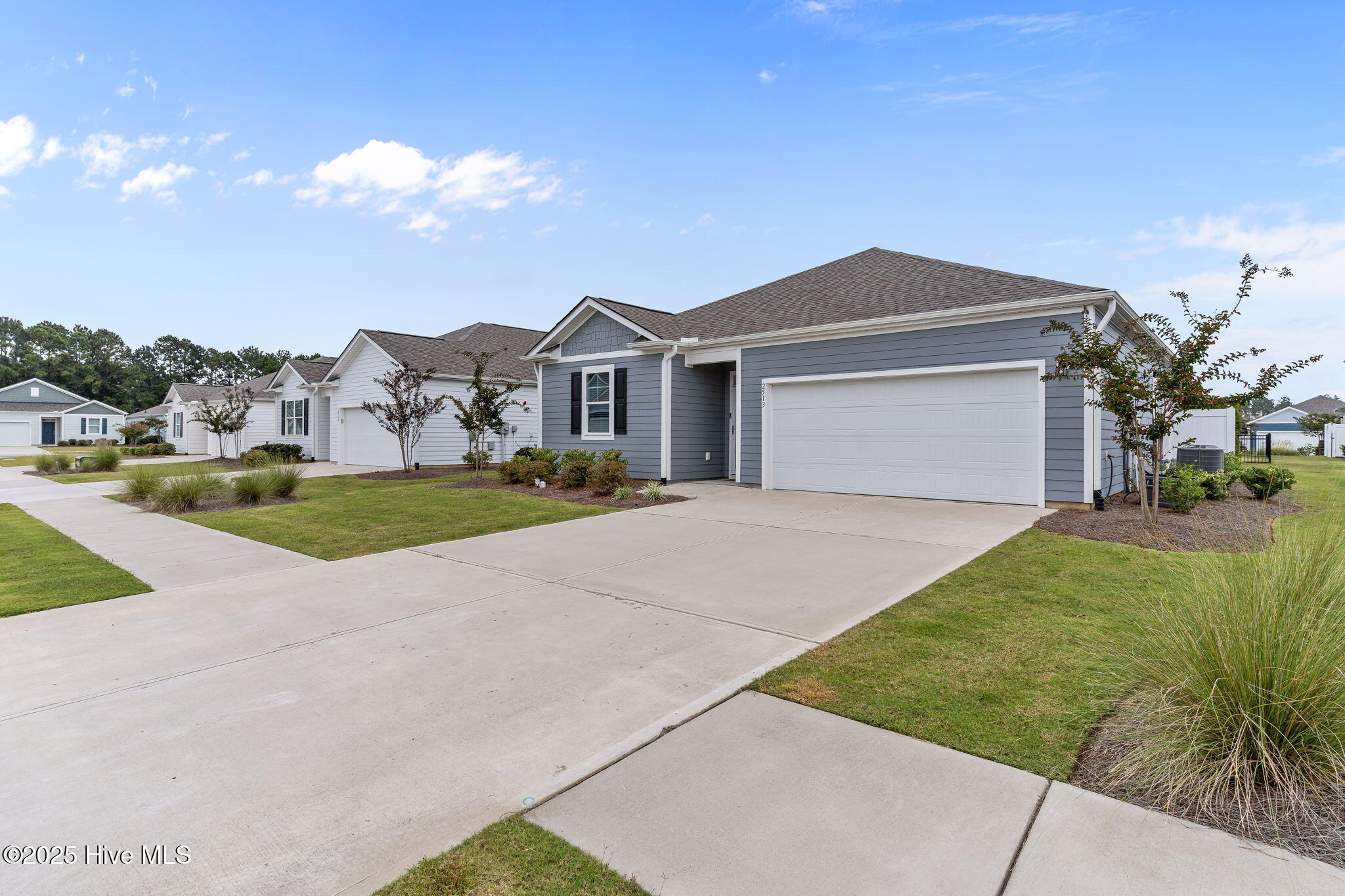 7-web-or-mls-BTS01256