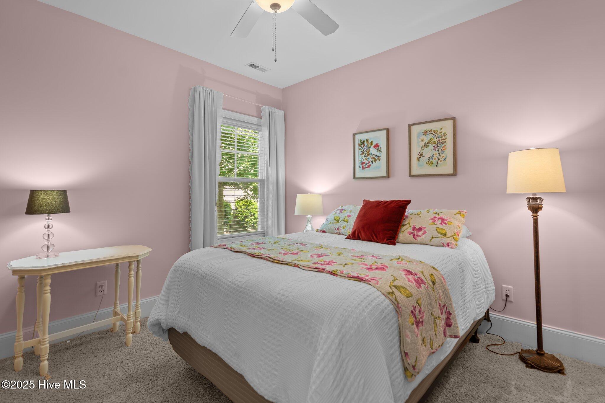 100518036 | Photo 25