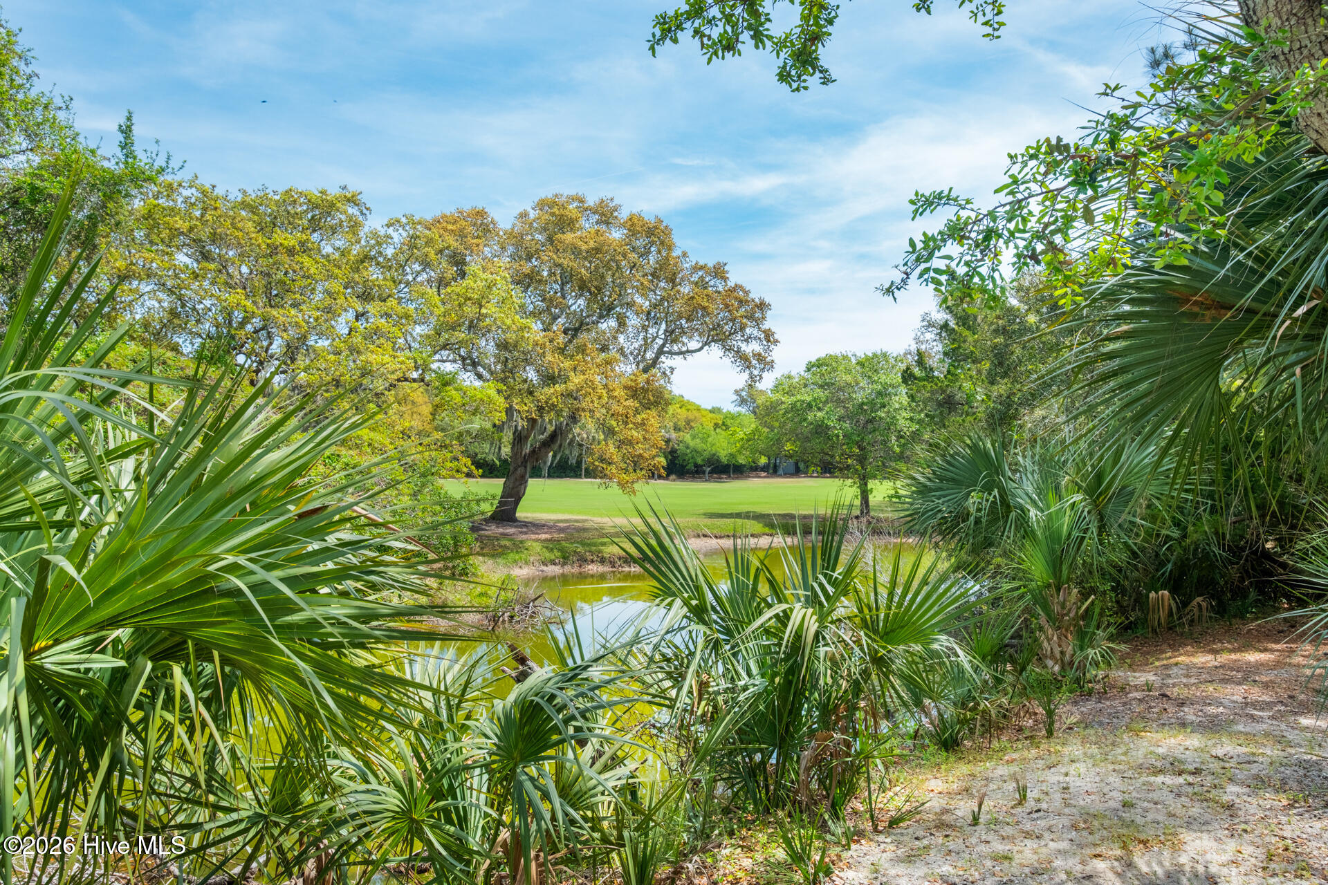 100567866 | Photo 43