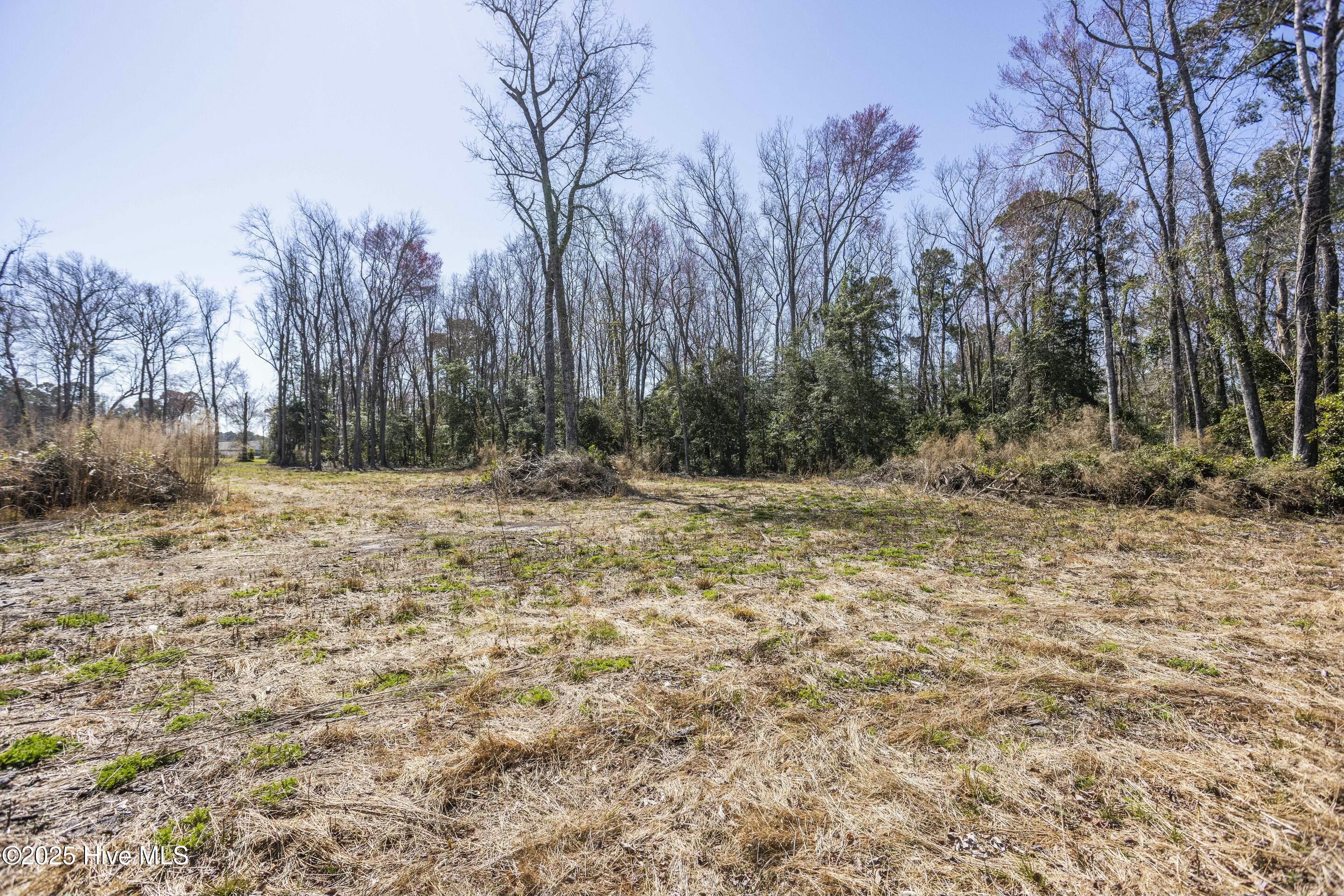 100495483 | Photo 25