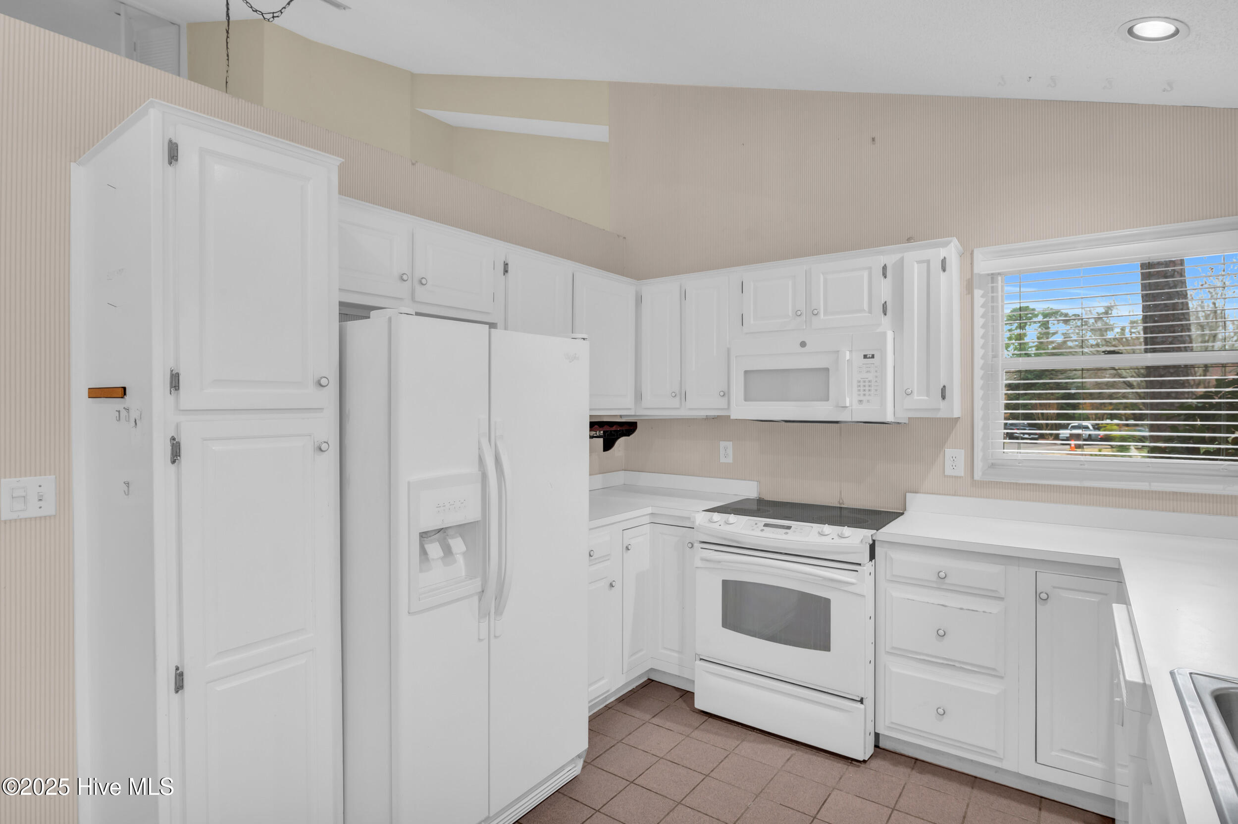 100546535 | Photo 16