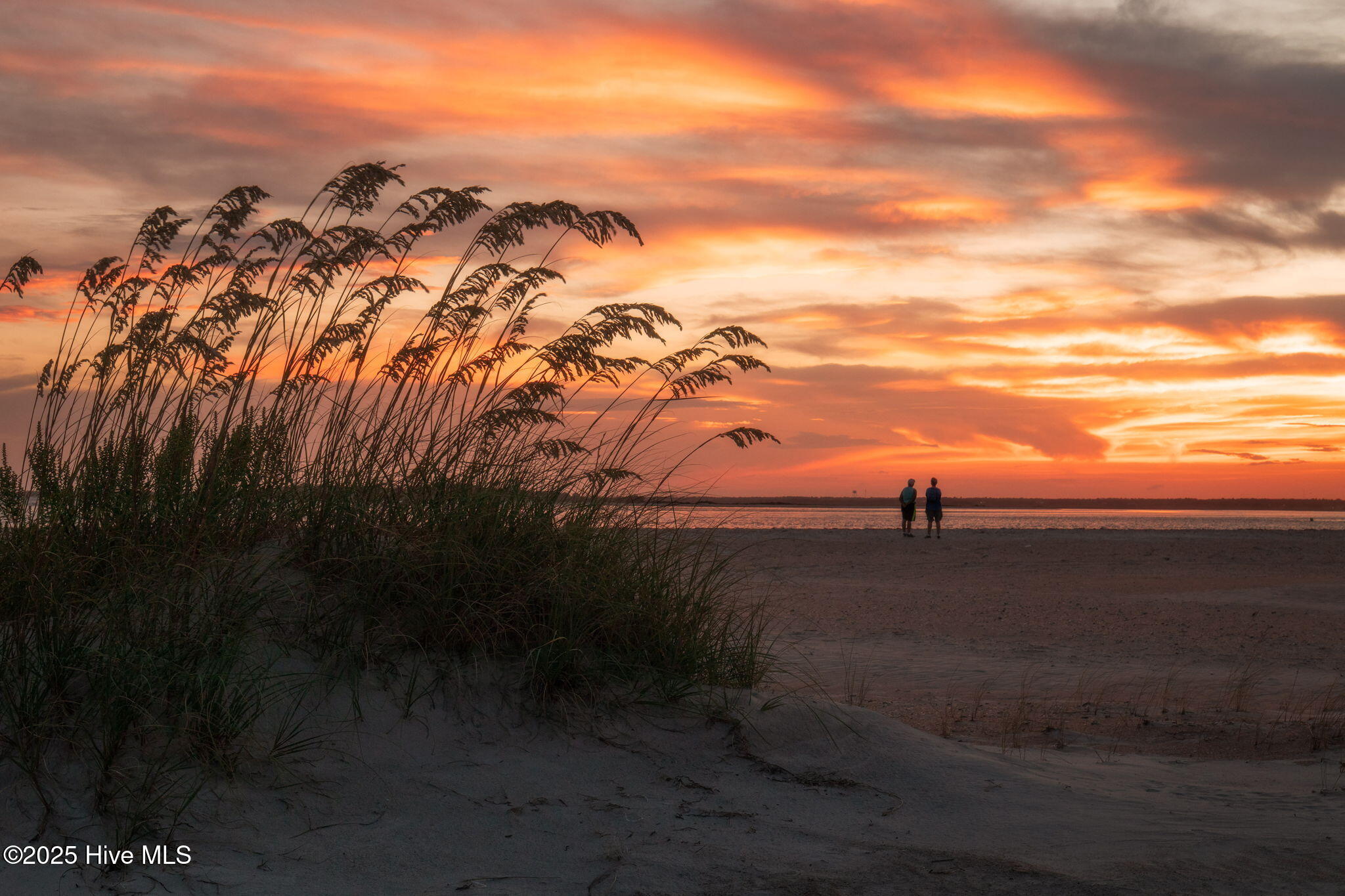 100535776 | Photo 55