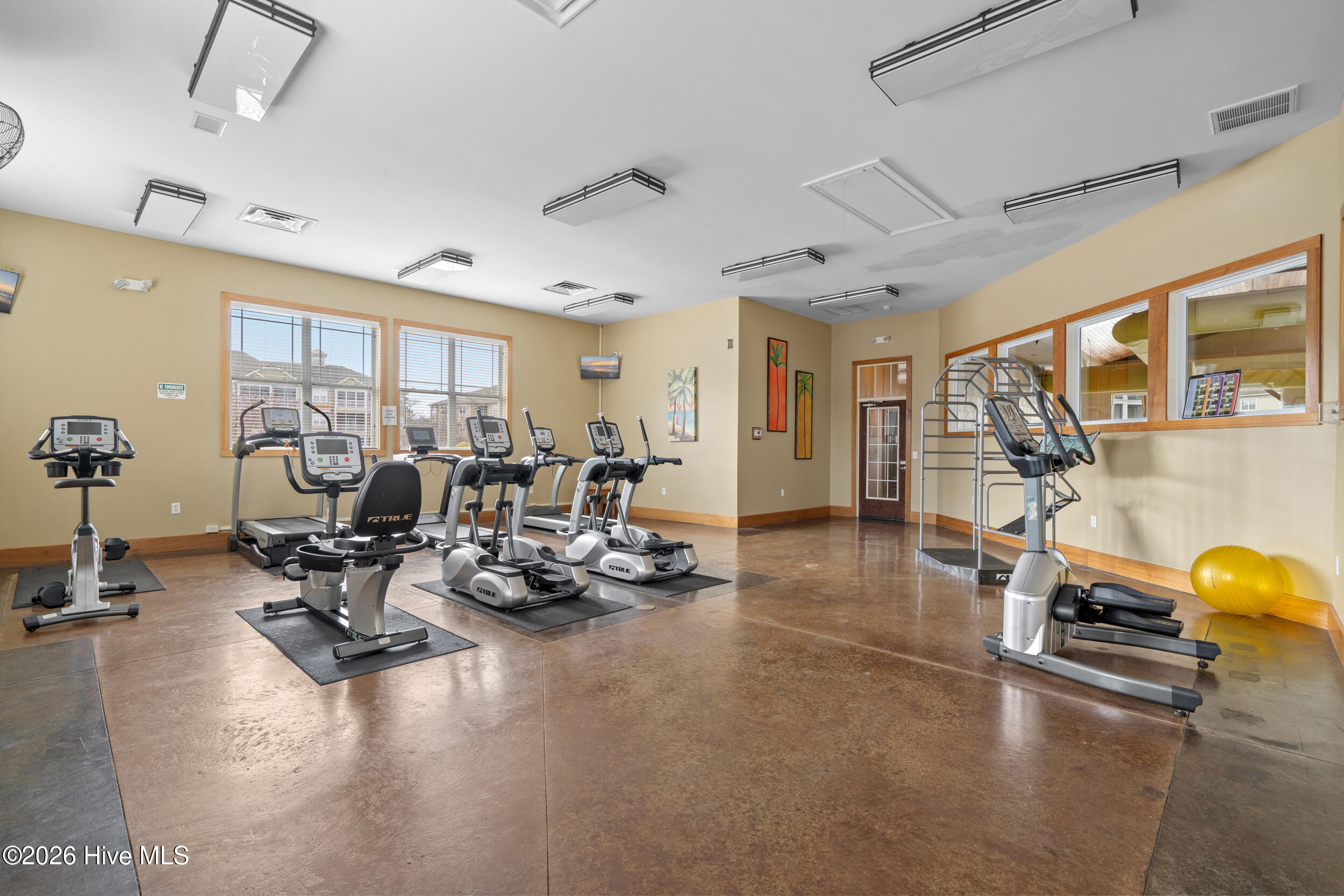 100556041 | Photo 30