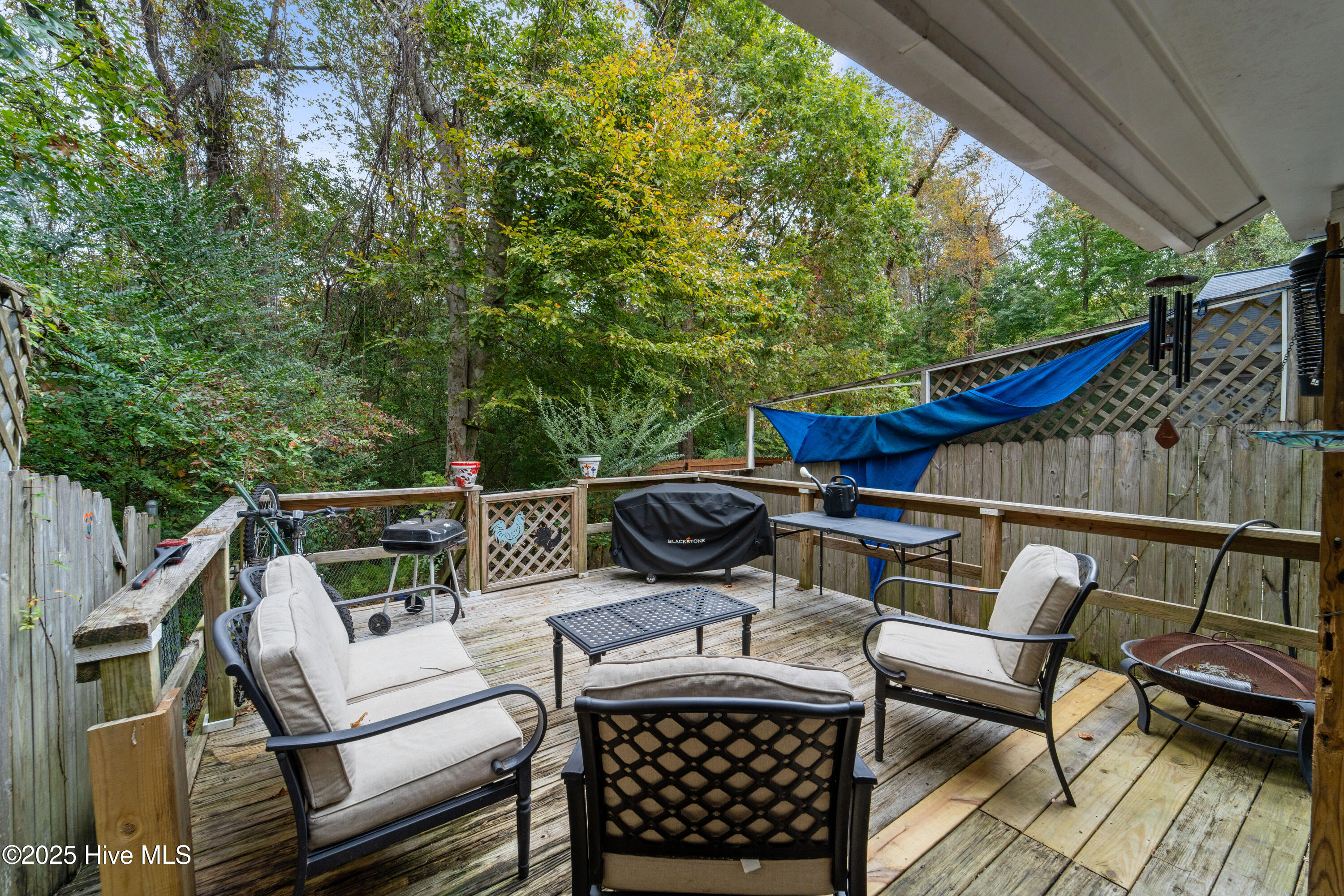 100538926 | Photo 16