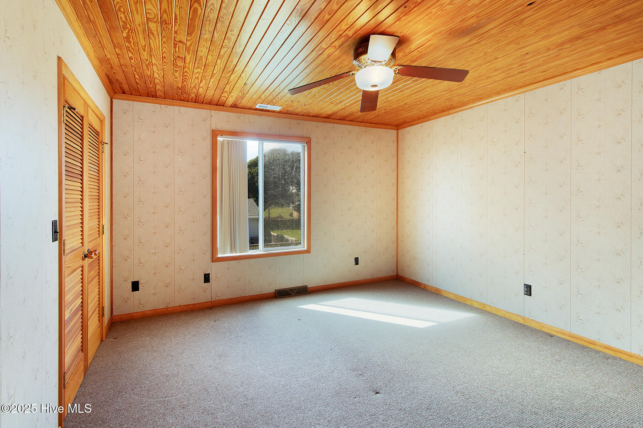 100535334 | Photo 23