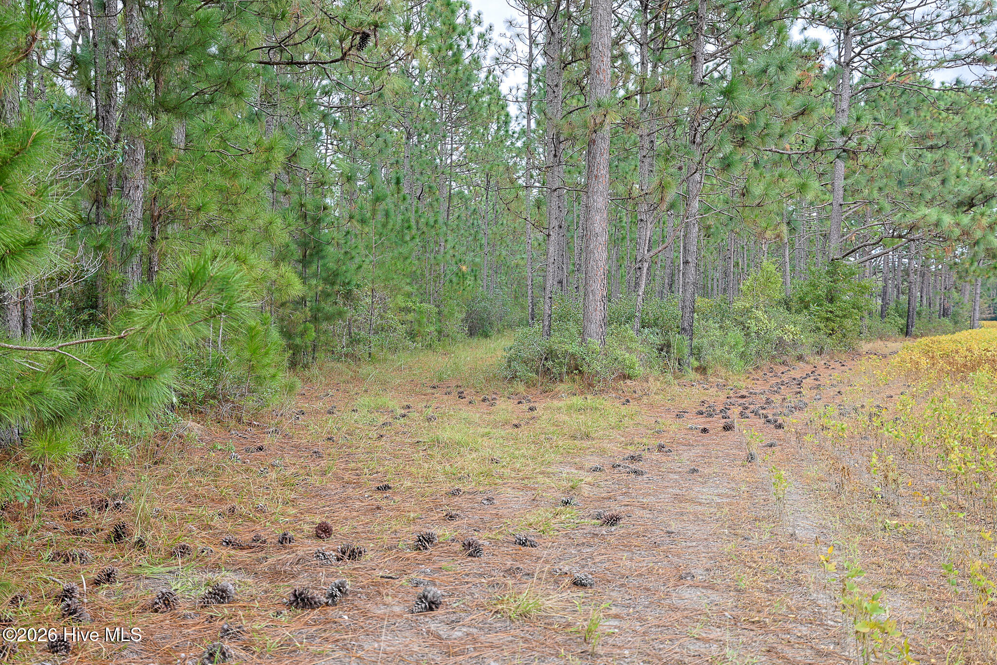 10.57 Ac Egypt Road NW, Ash, NC, 28420