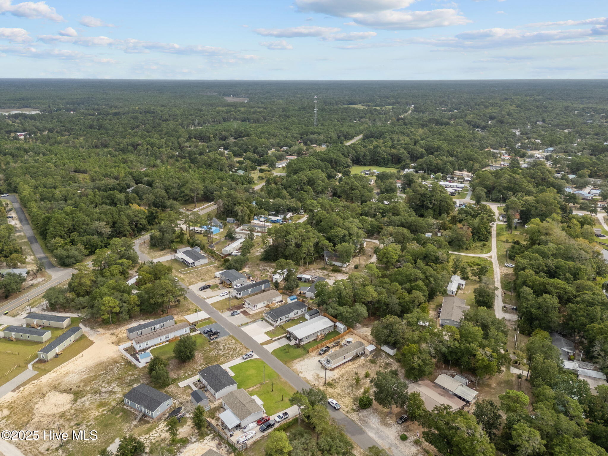 100530001 | Photo 52