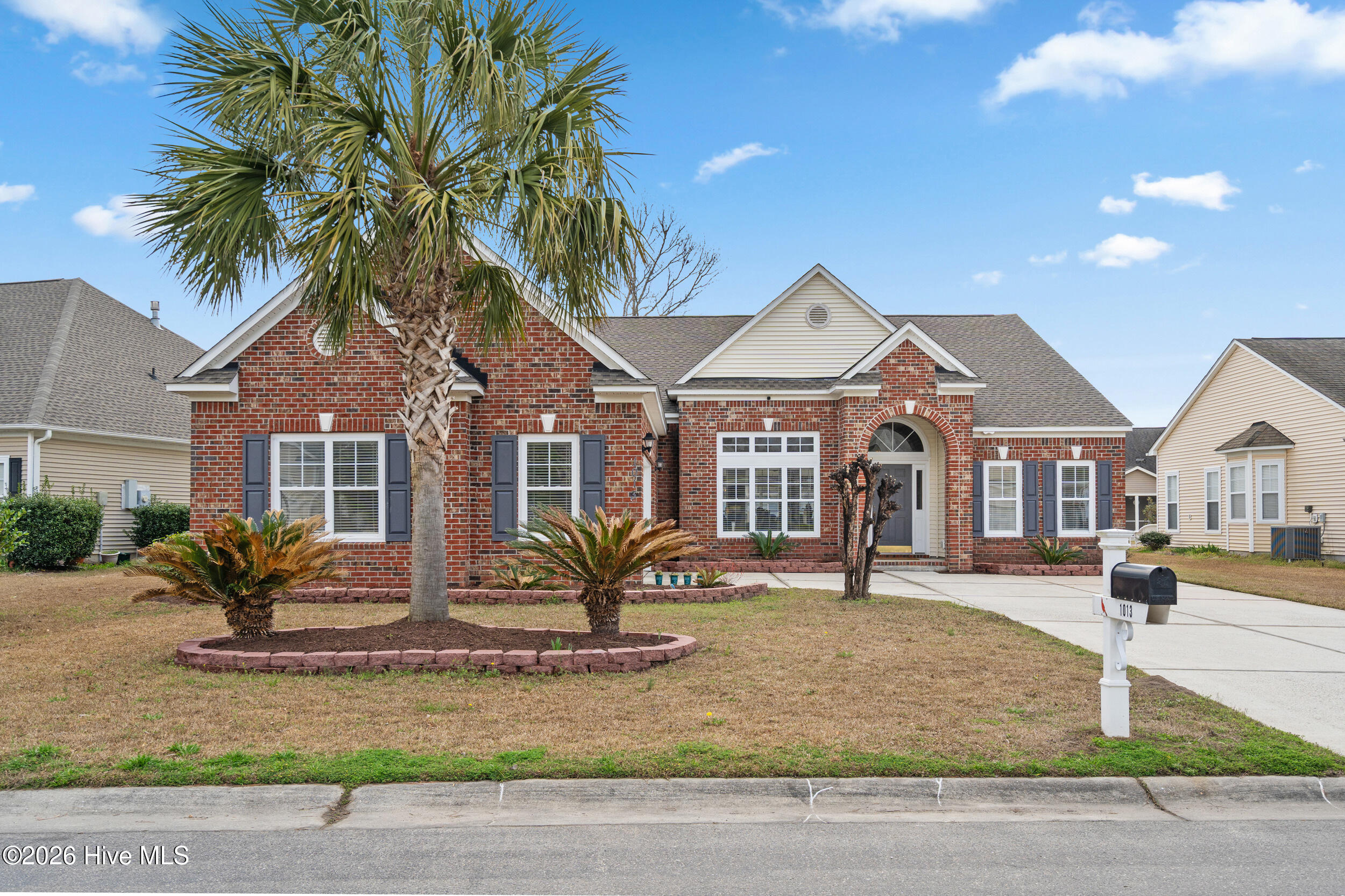 100558962 | Photo 30