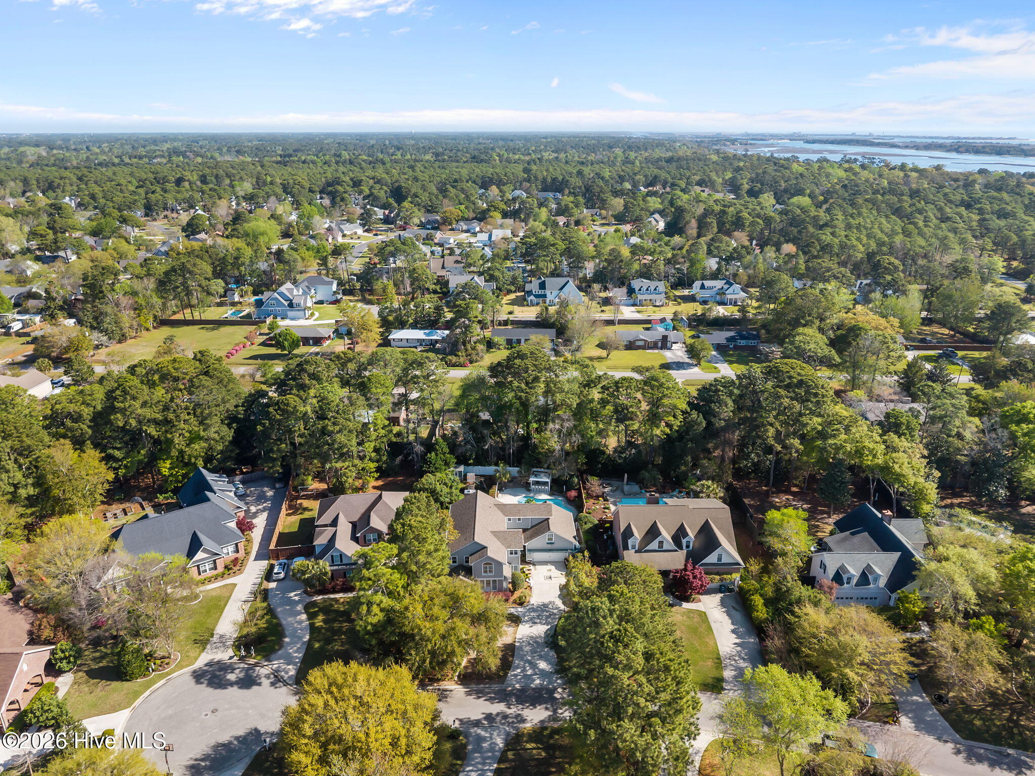 100565239 | Photo 74