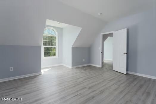 100512300 | Photo 31