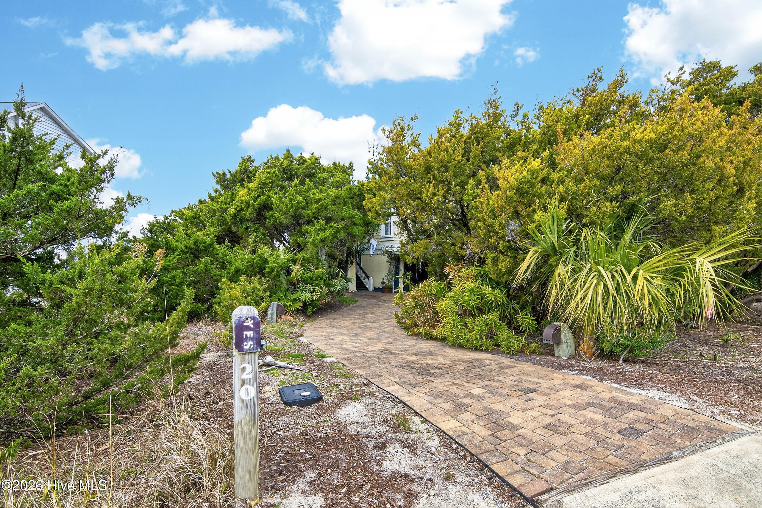 100556296 | Photo 42