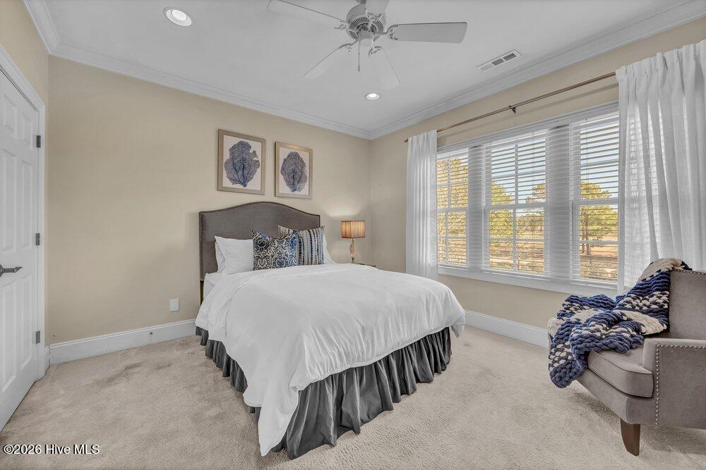 100558006 | Photo 34