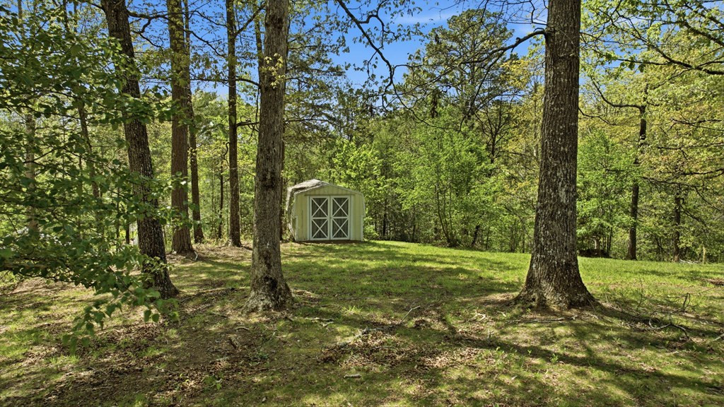 838 Peachtree Hills Road, Murphy, NC 28906 Listing Photo  4
