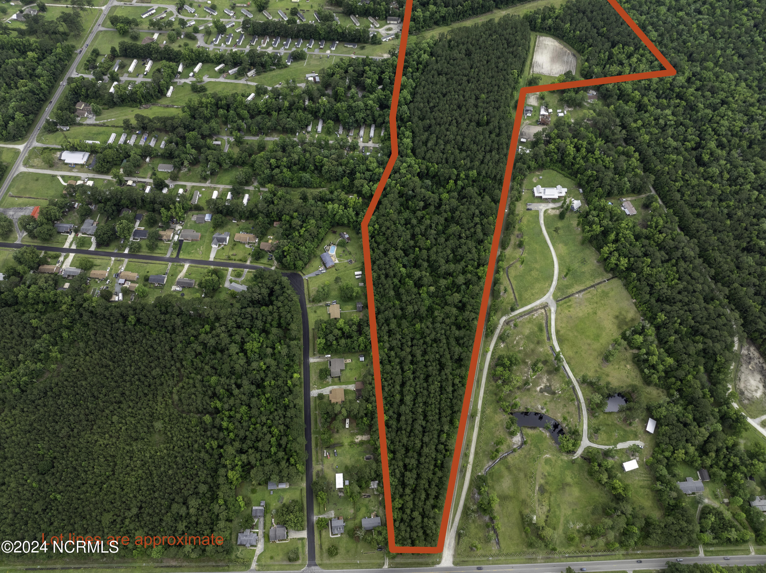 100524408 | Photo 31