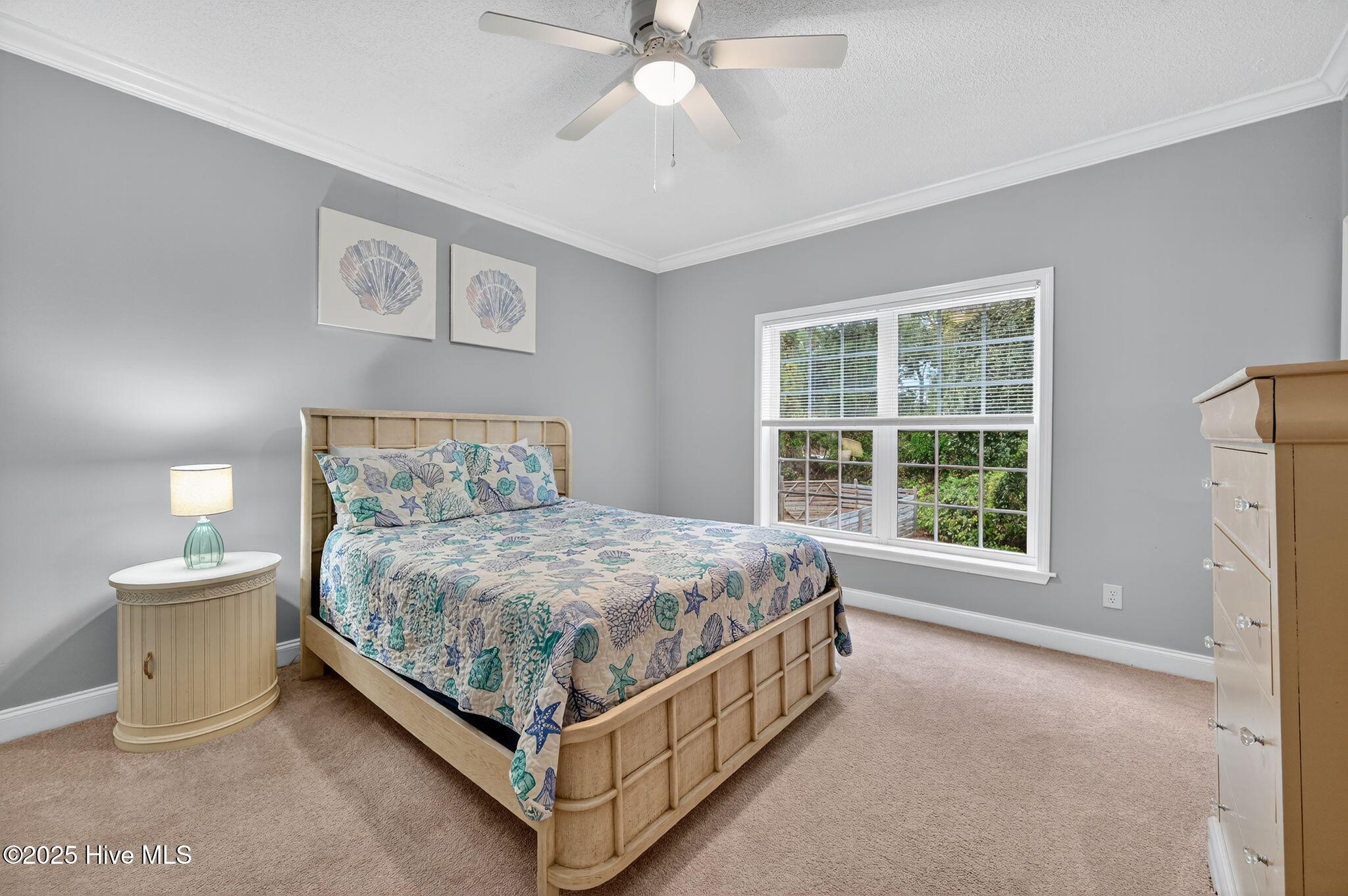 100540046 | Photo 25