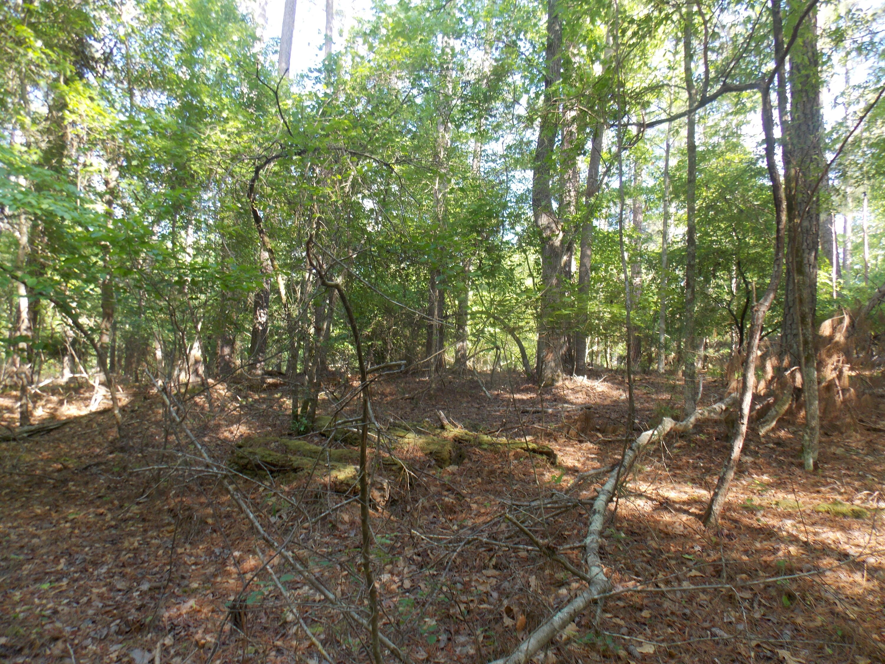 13 RIVERVIEW CT, Lincolnton, GA, 30817