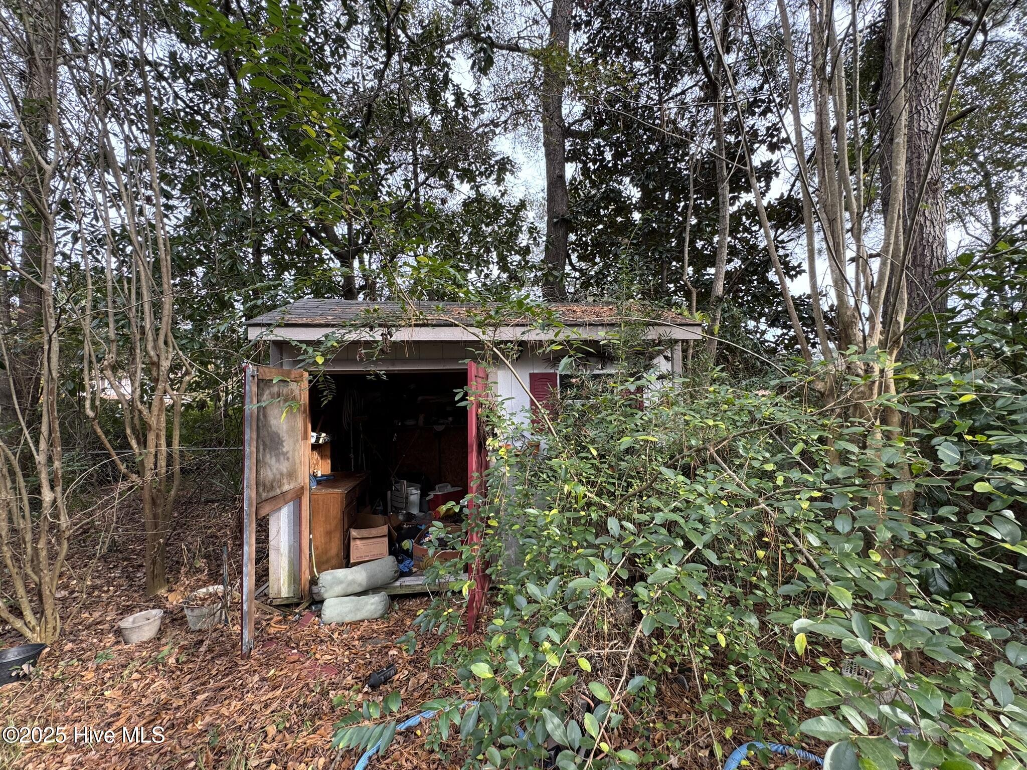 100544734 | Photo 10