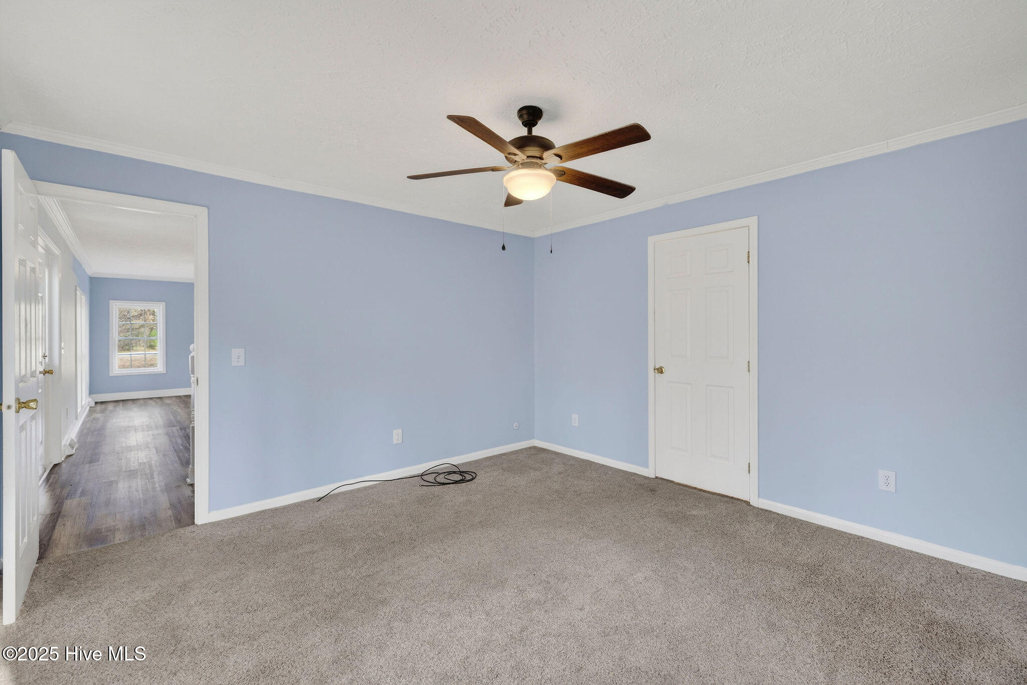 100546222 | Photo 25