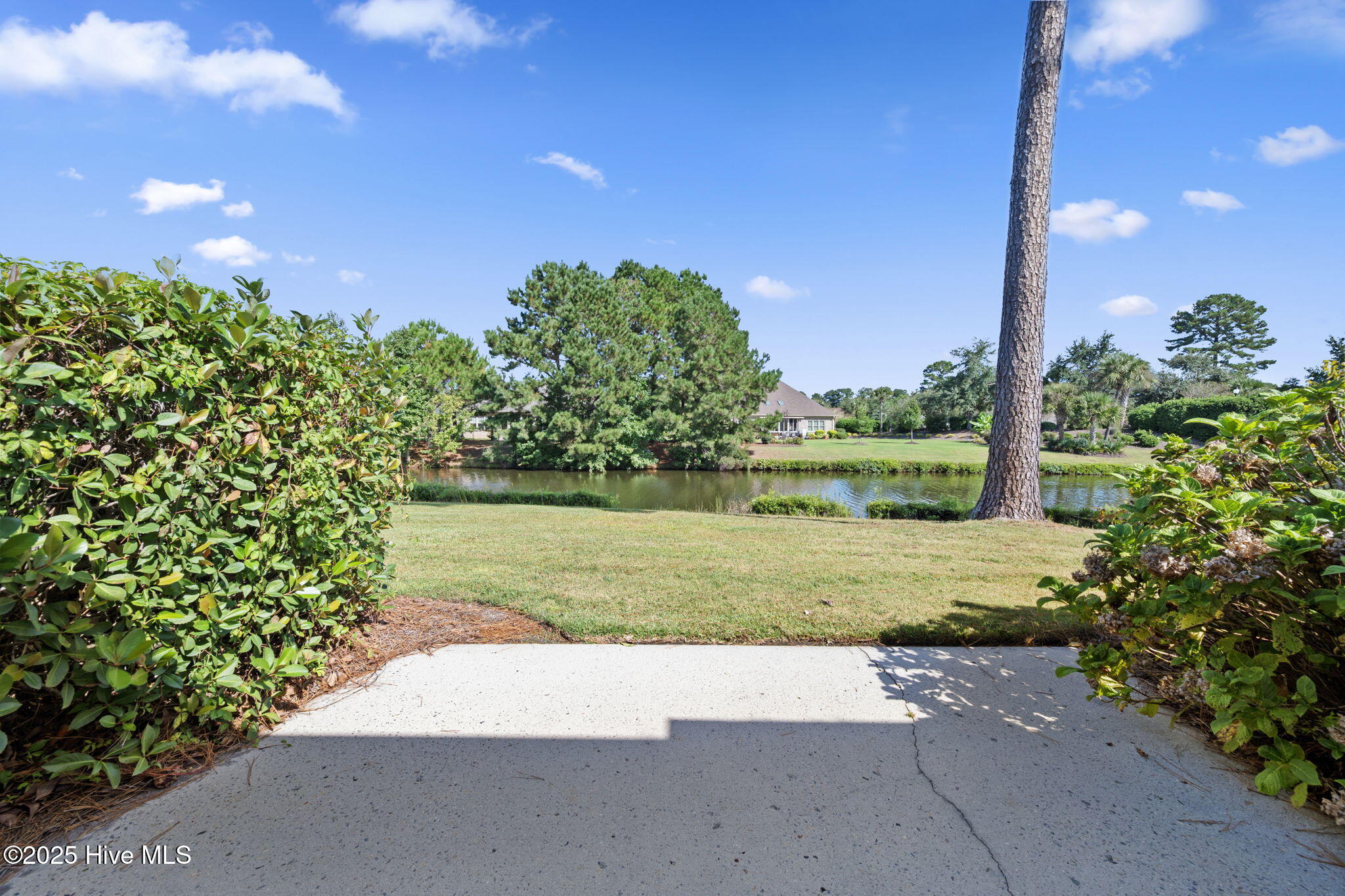 100535127 | Photo 30